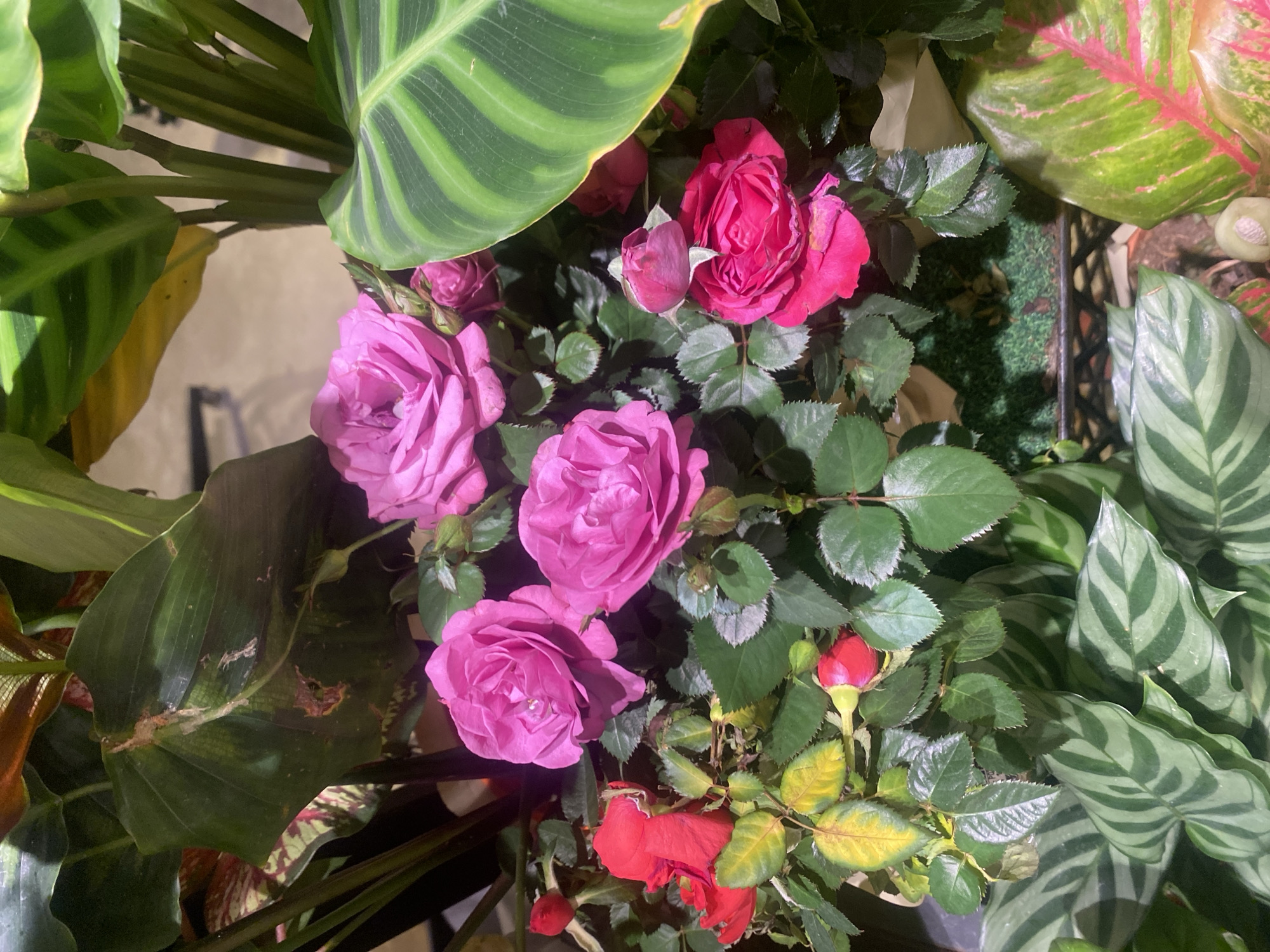 KL market browse: fresh produce, mooncakes, and flowers mid-festival season
