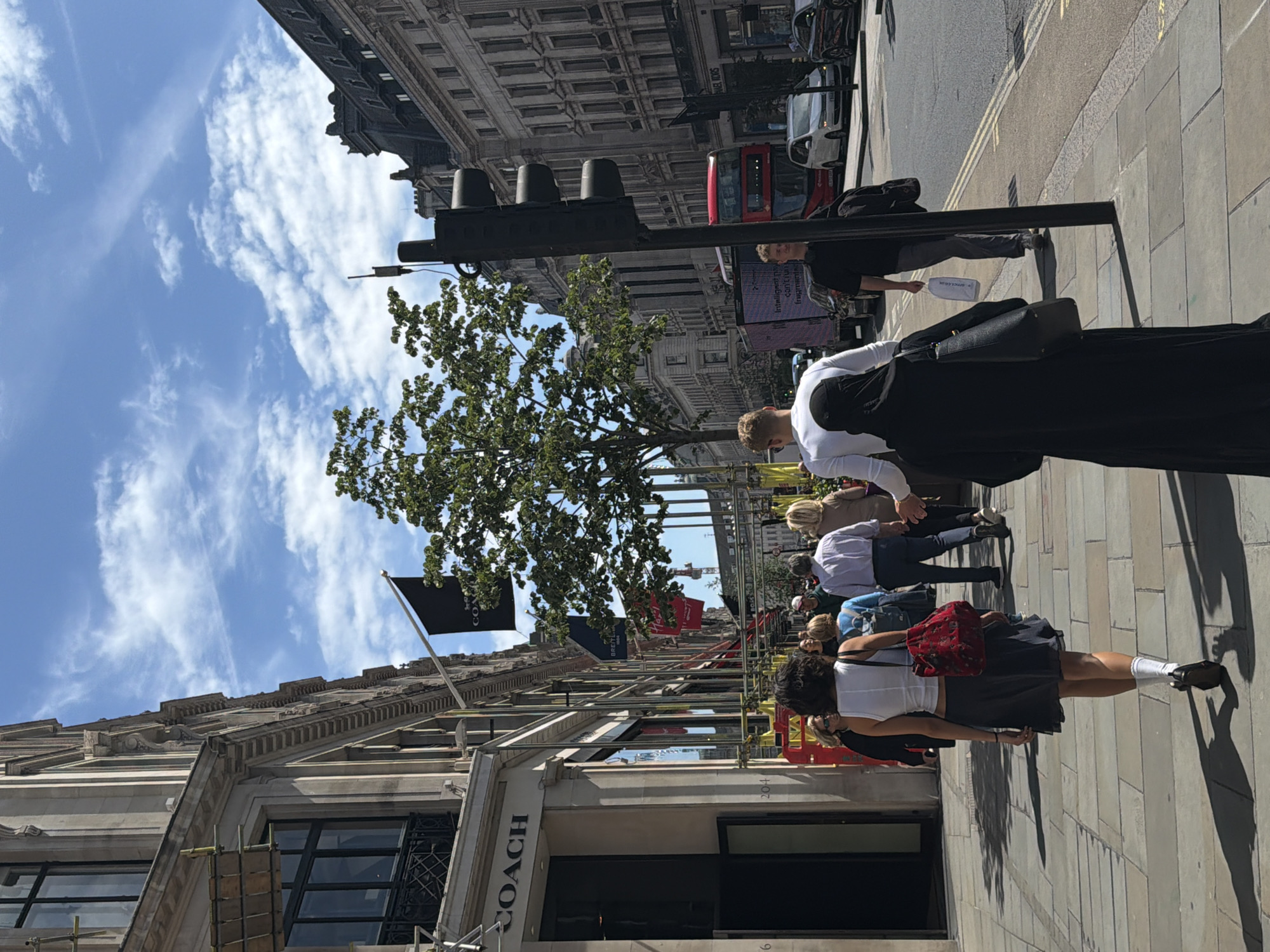 Dense crowd gathers on sunny London street amid construction