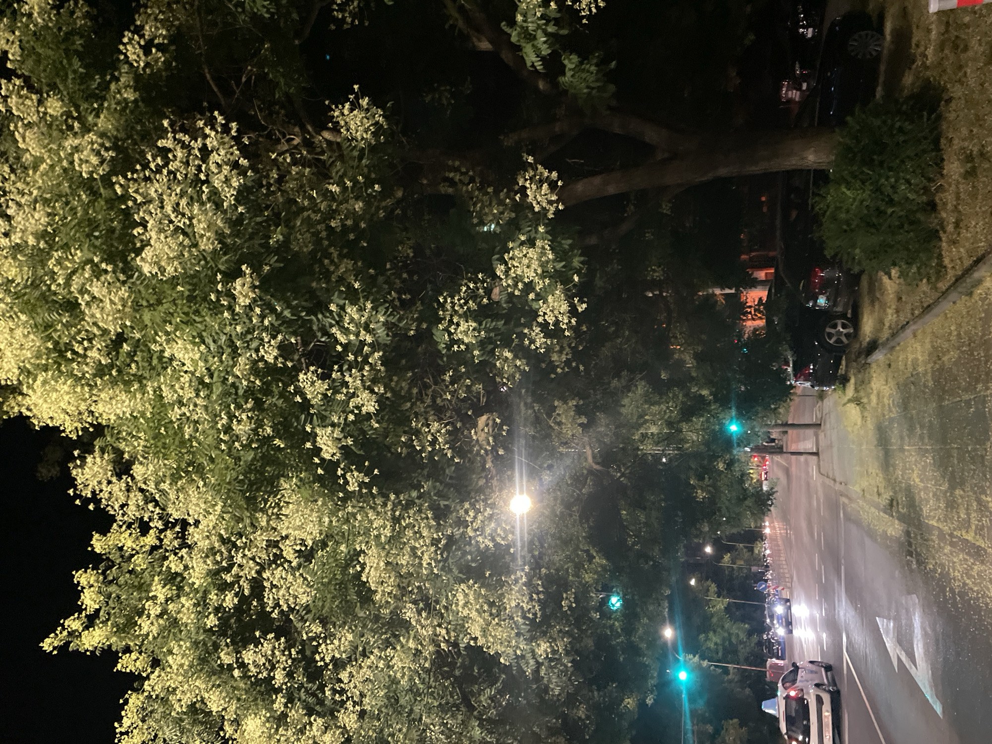 Nighttime street scene in a Burgas residential neighborhood