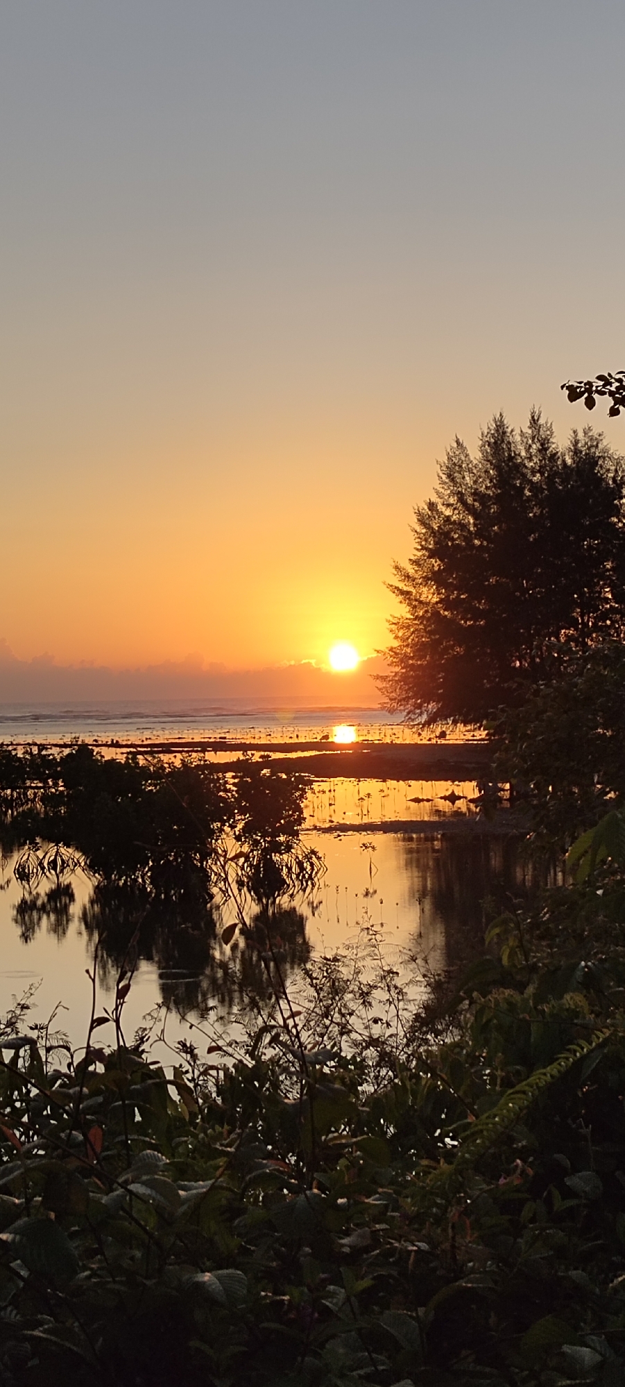 Golden sun low over mangrove coastline in Kruengno, Indonesia