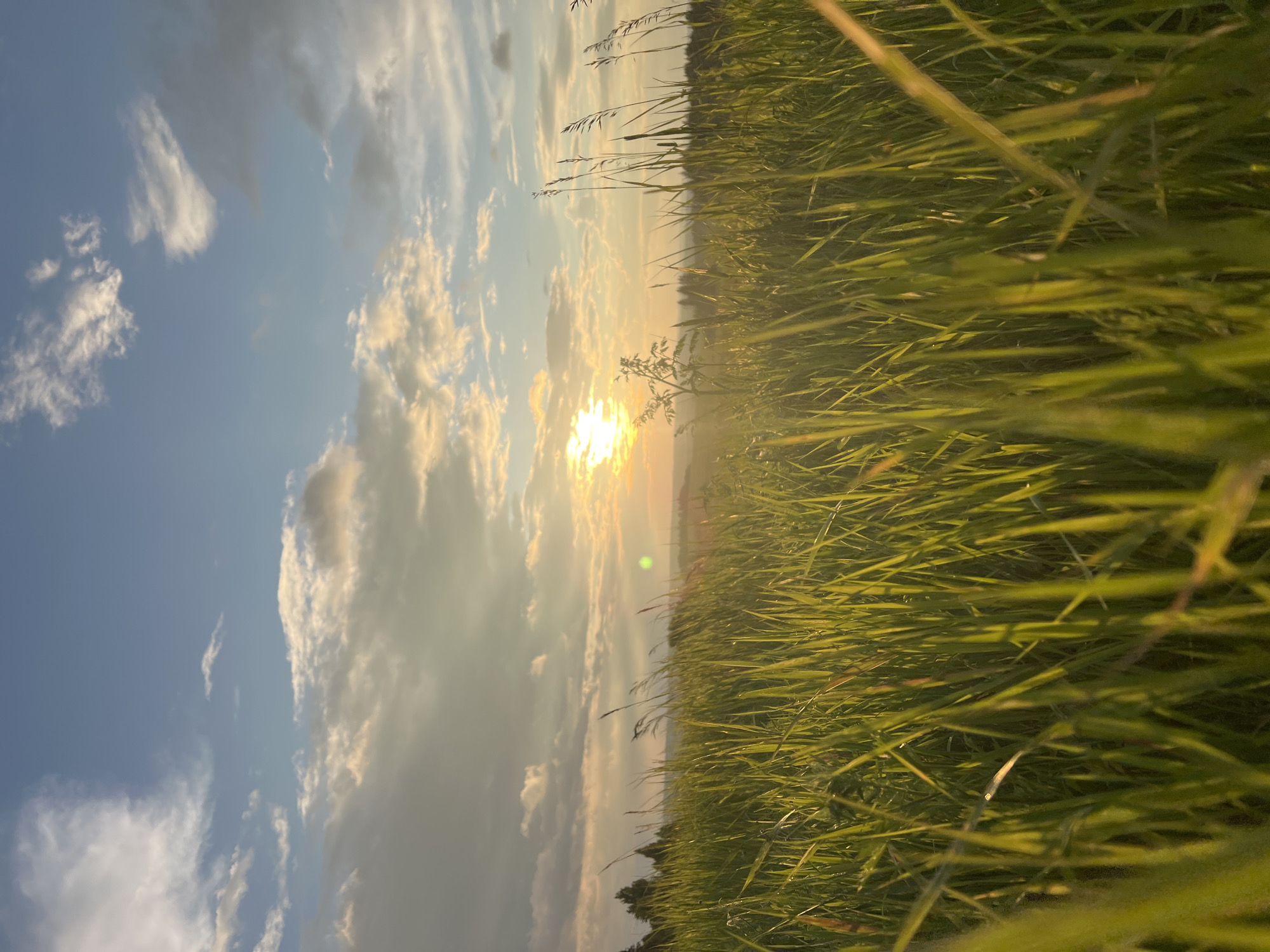 Sun and storm clouds observed over Krasnoyarsk grasslands