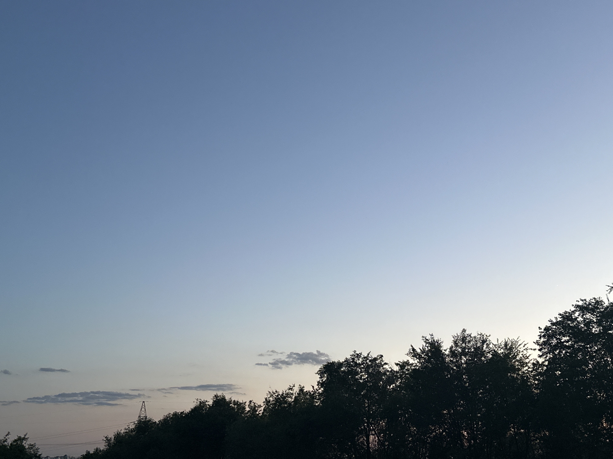 Afternoon to dusk sky watched through a forest tree line