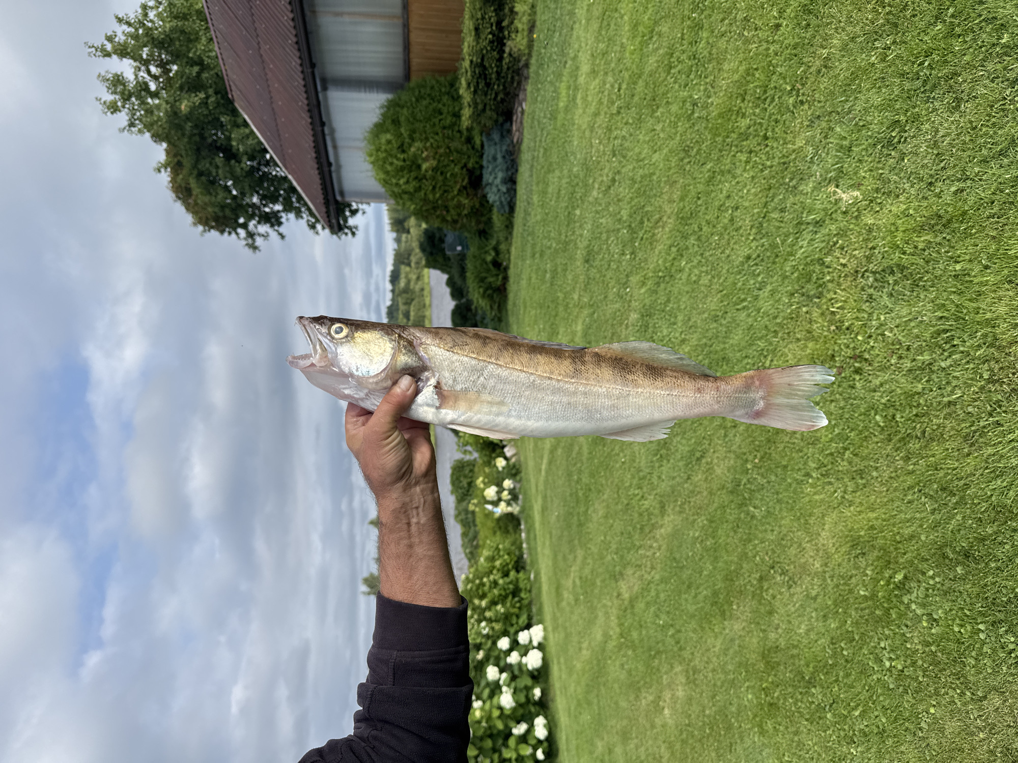 Summer morning in rural Sitno: fishing, kids playing, backyard life