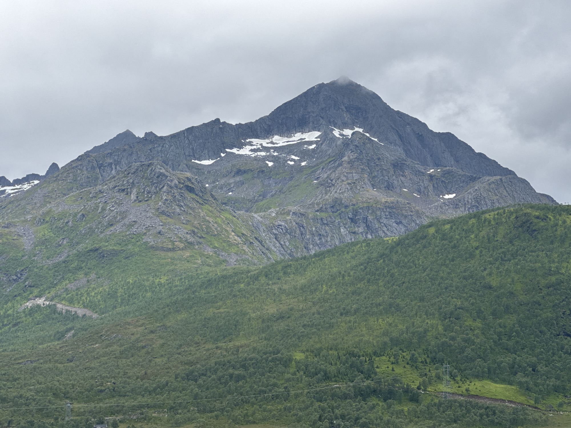 Overcast skies over a forested hillside in northern Norway