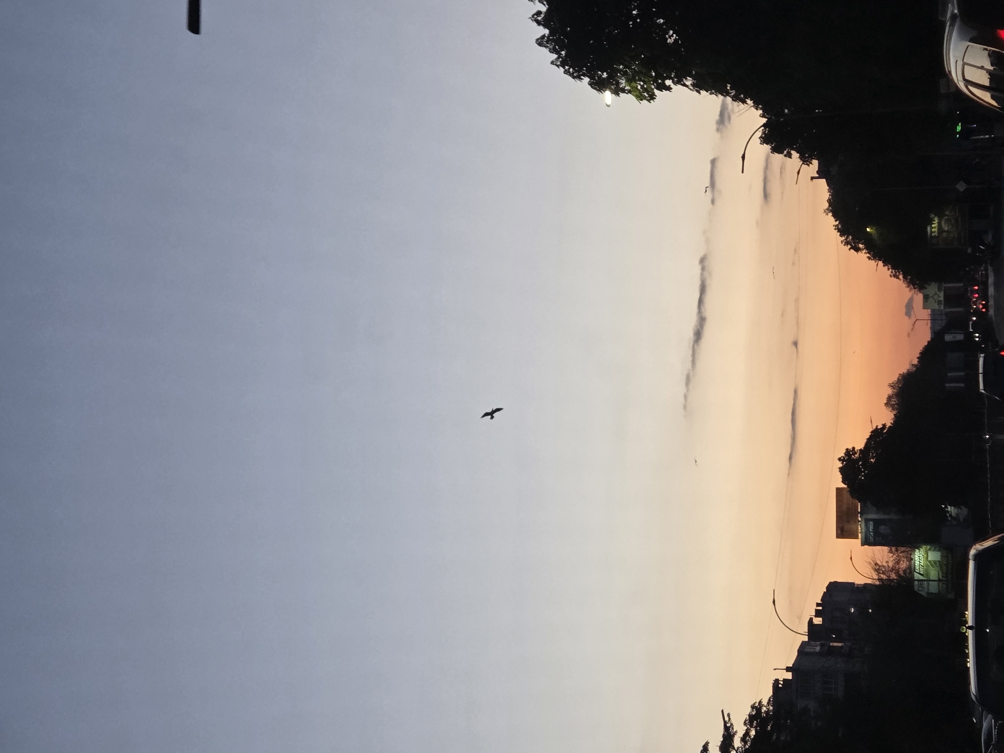 Evening scenes captured in Varna, Bulgaria including sunset and book