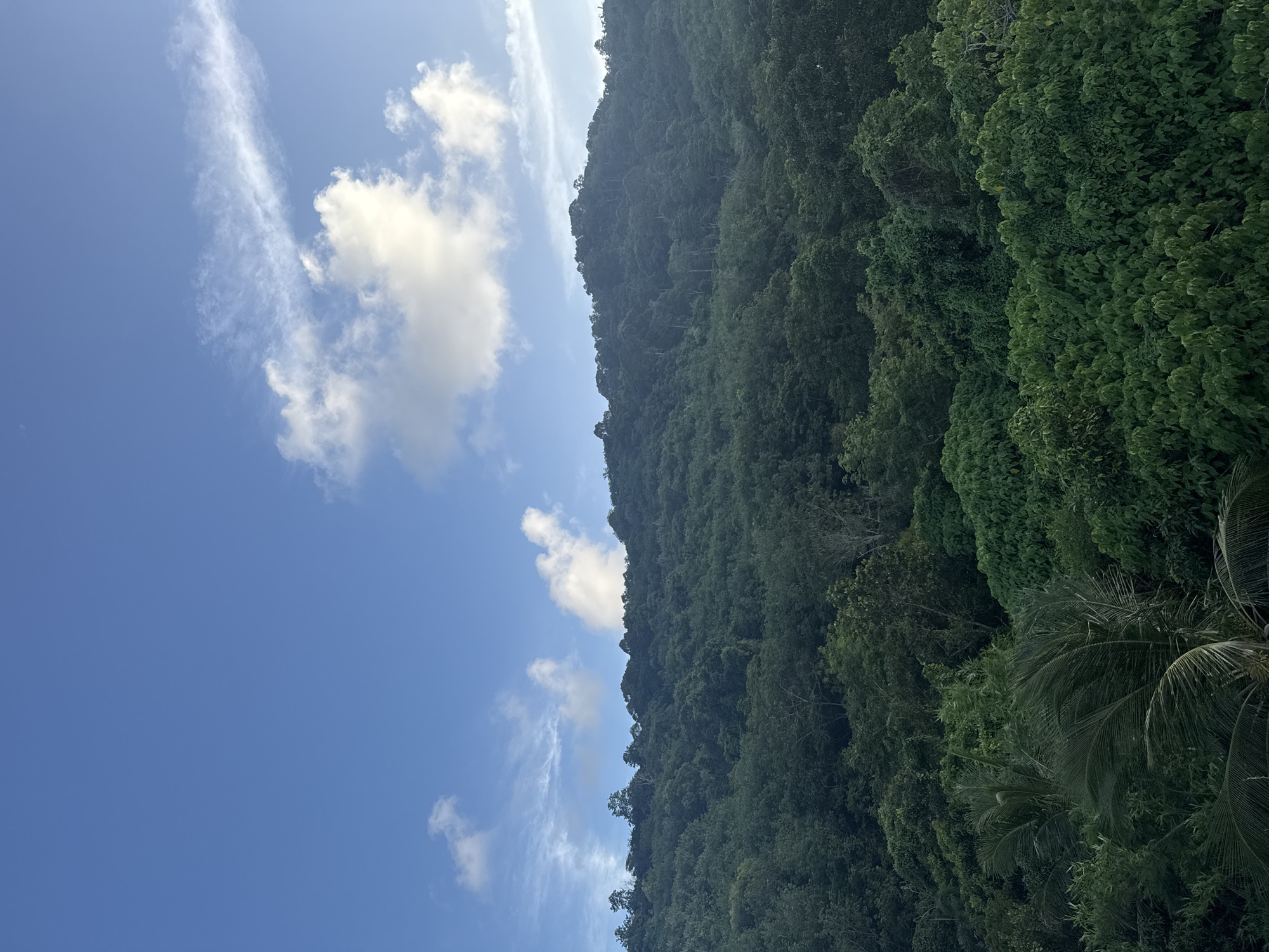 Hillside villa views and tropical scenery in Rawai, Phuket