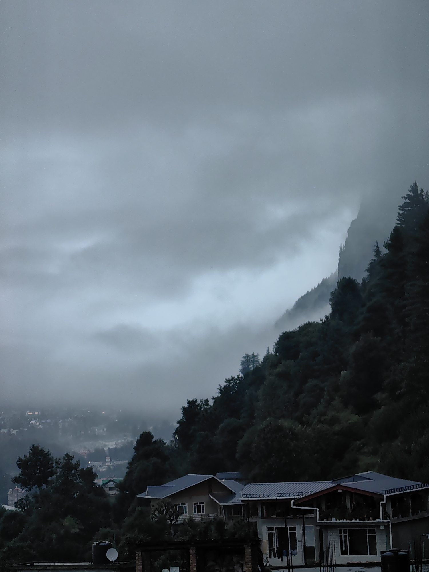 Fog blankets Vashisht's hillside village and forest on a grey morning