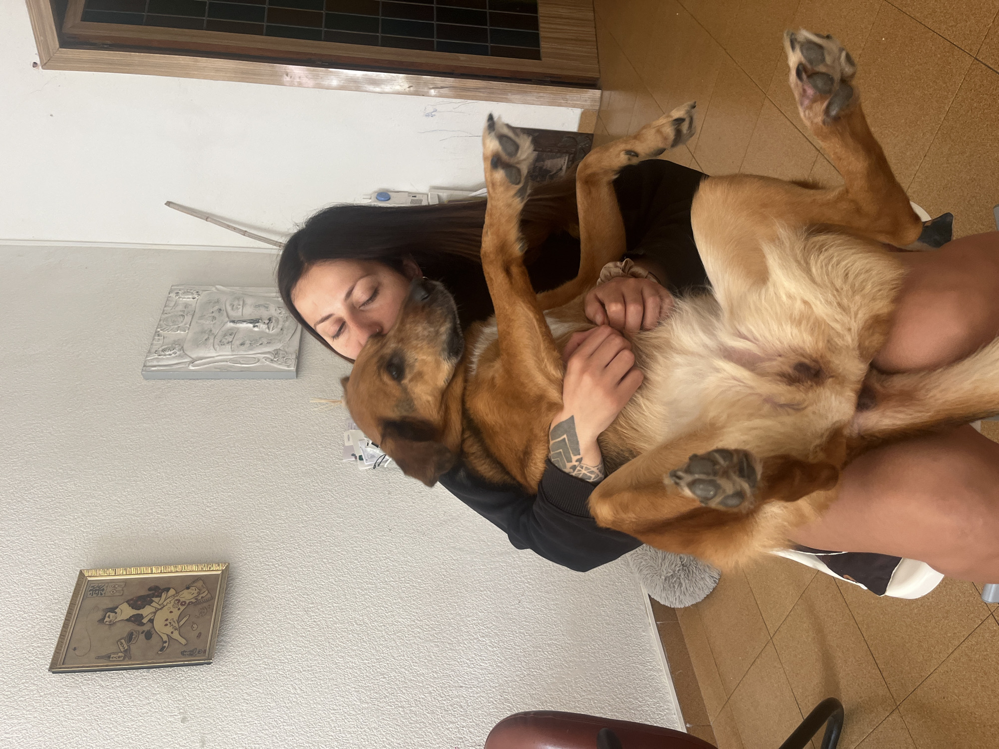 Woman embraces dog in tender moment in Barcelona