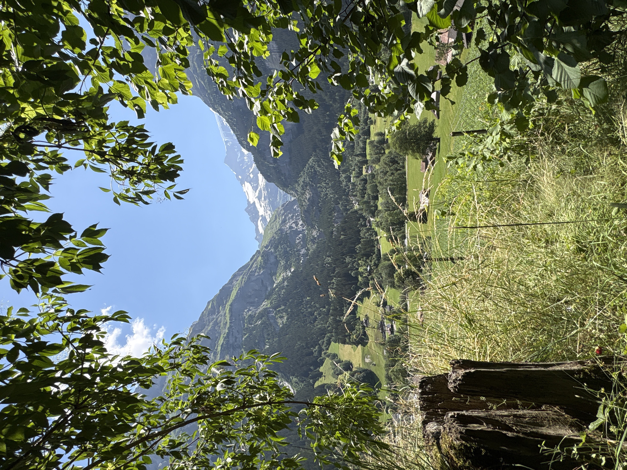 Sunny morning in Grindelwald with Alpine views all around