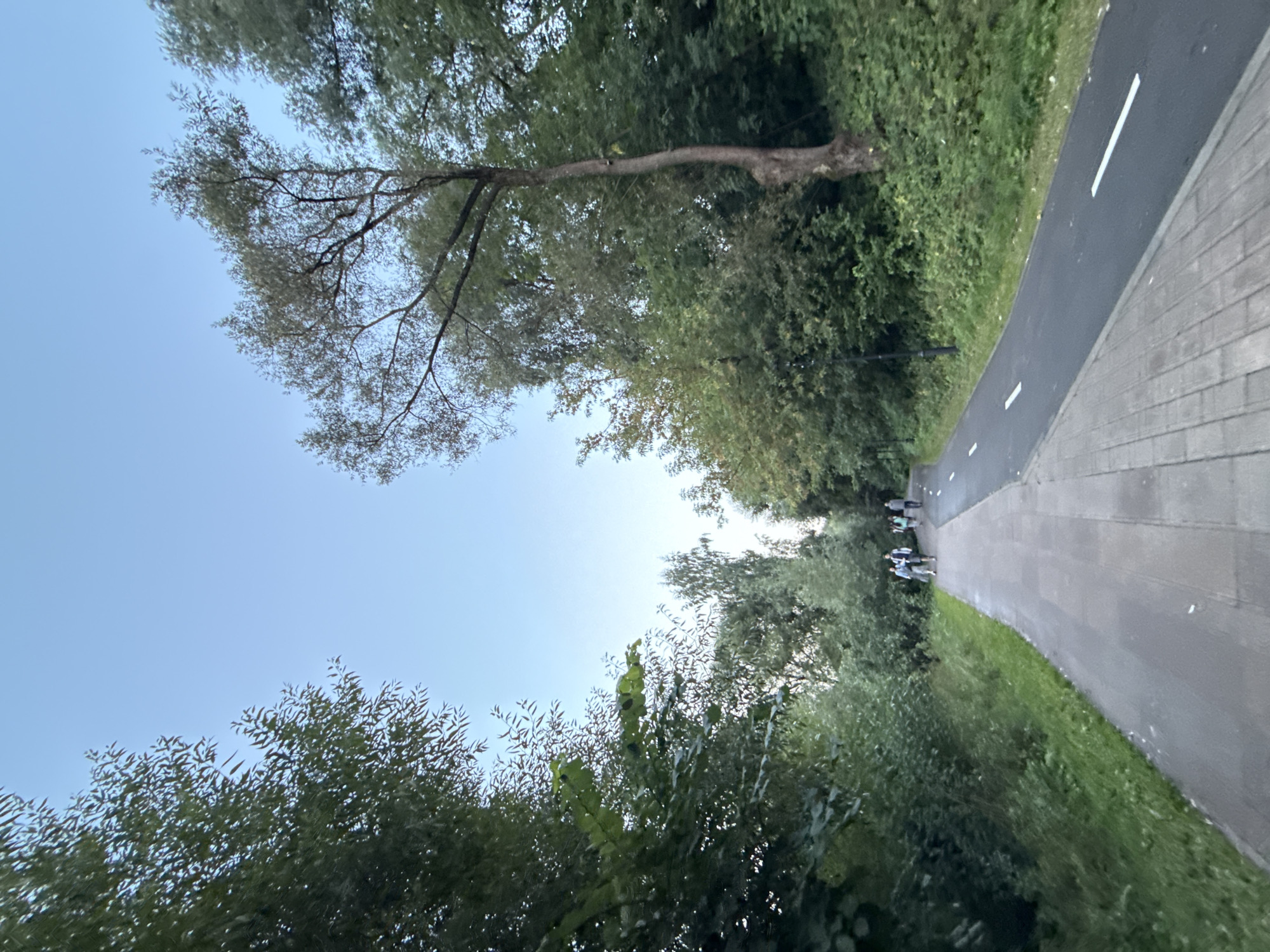 Afternoon stroll through Izmailovo Forest Park, Moscow