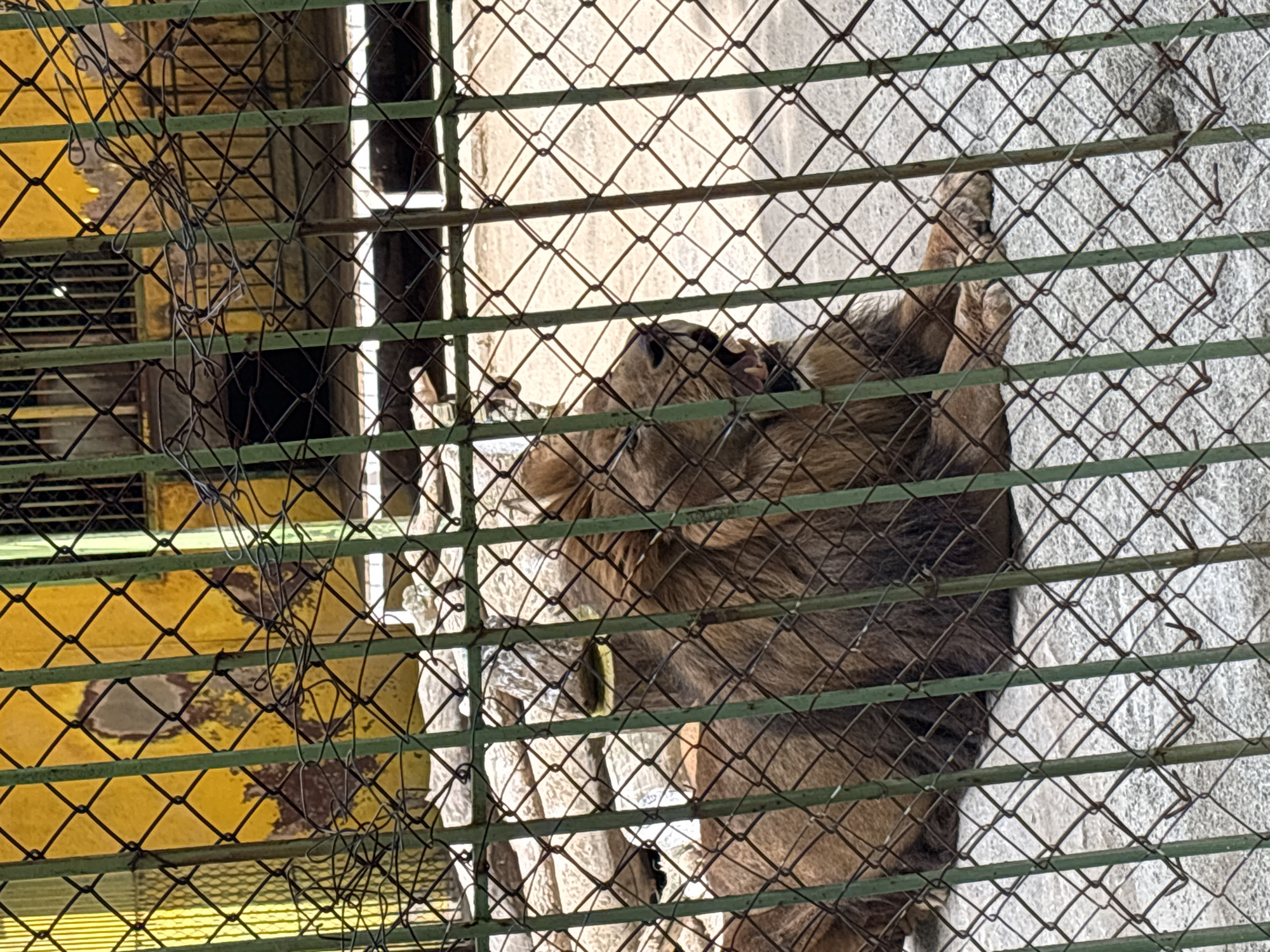 Tourist visits zoo and shops in Blagoevgrad, Bulgaria
