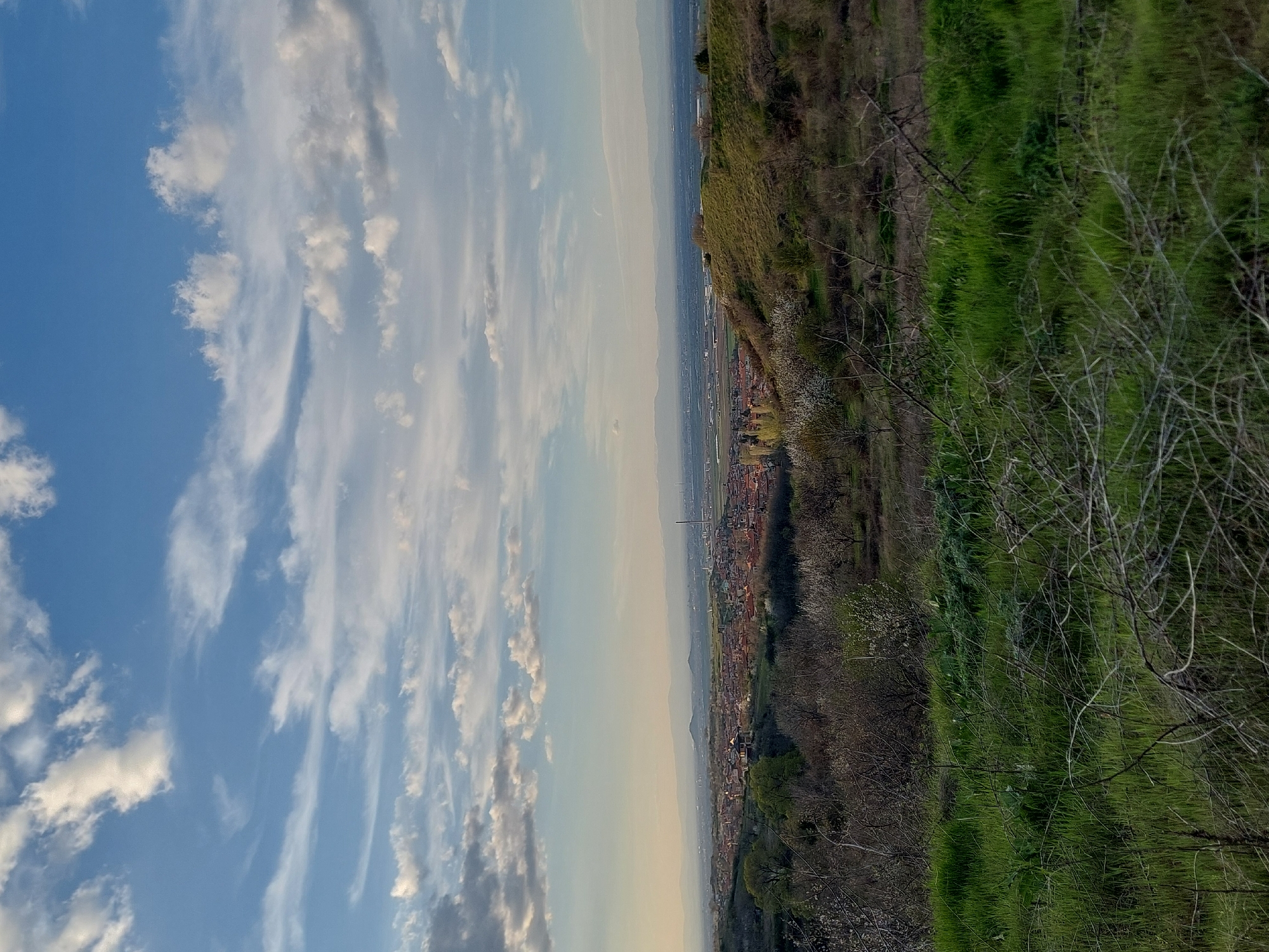 Hillside view captures cityscape and natural landscape elements
