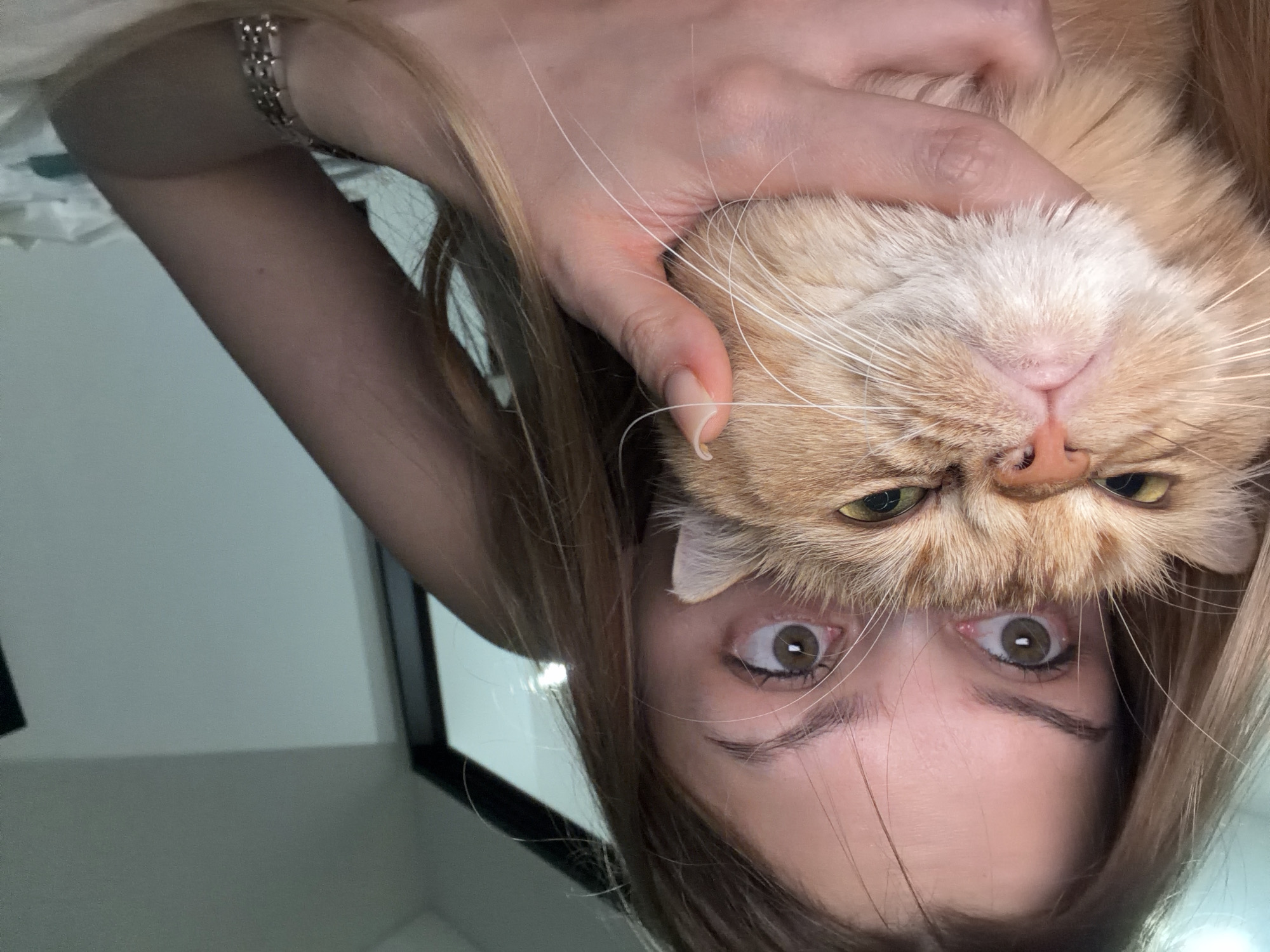 Woman holds ginger cat upside down in Đà Nẵng