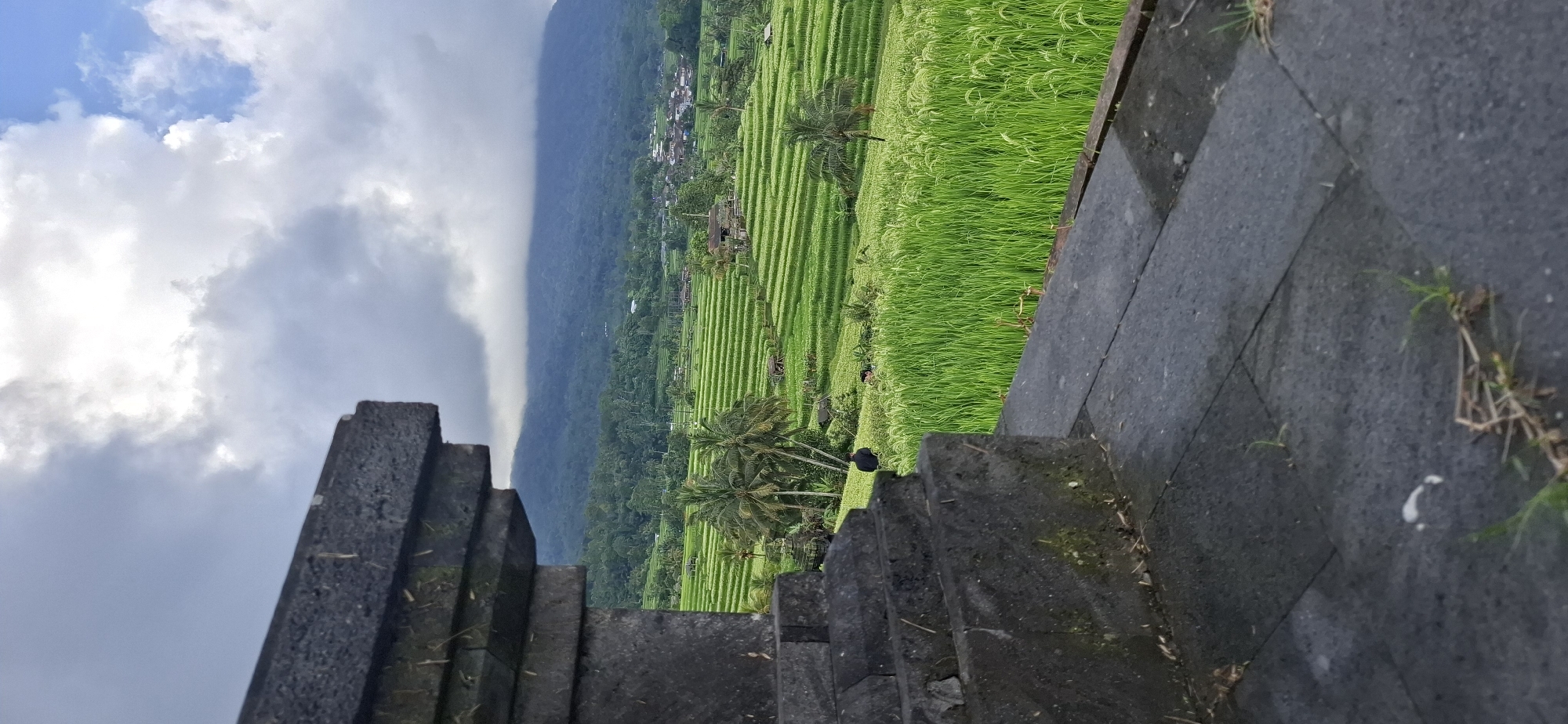 Early morning tourist activity documented in Penebel rice terraces