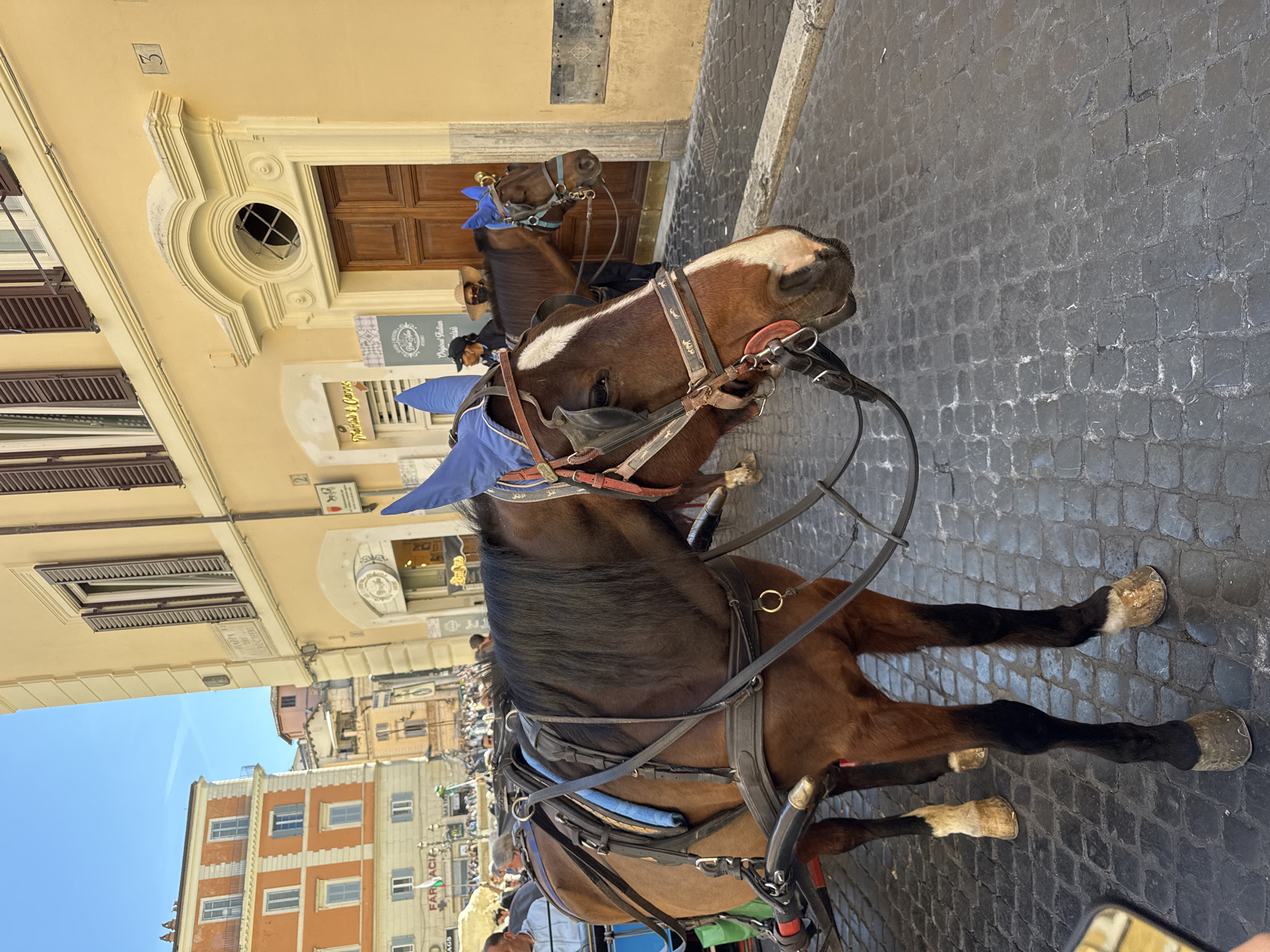 Trevi Fountain's ornate facade documented in Rome