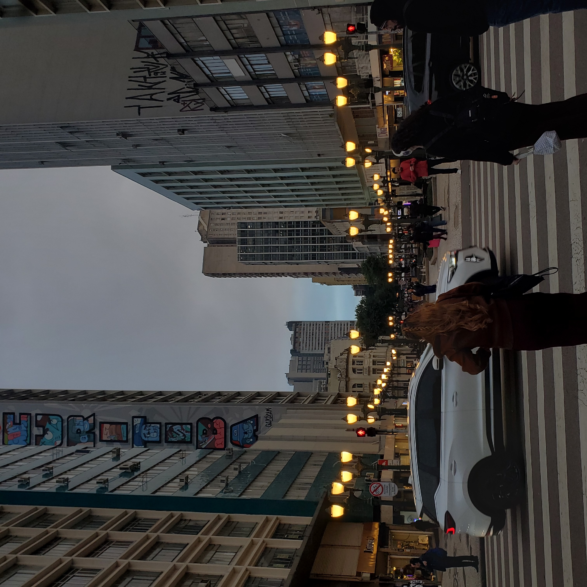 Evening pedestrian activity observed on Curitiba's Rua XV boulevard