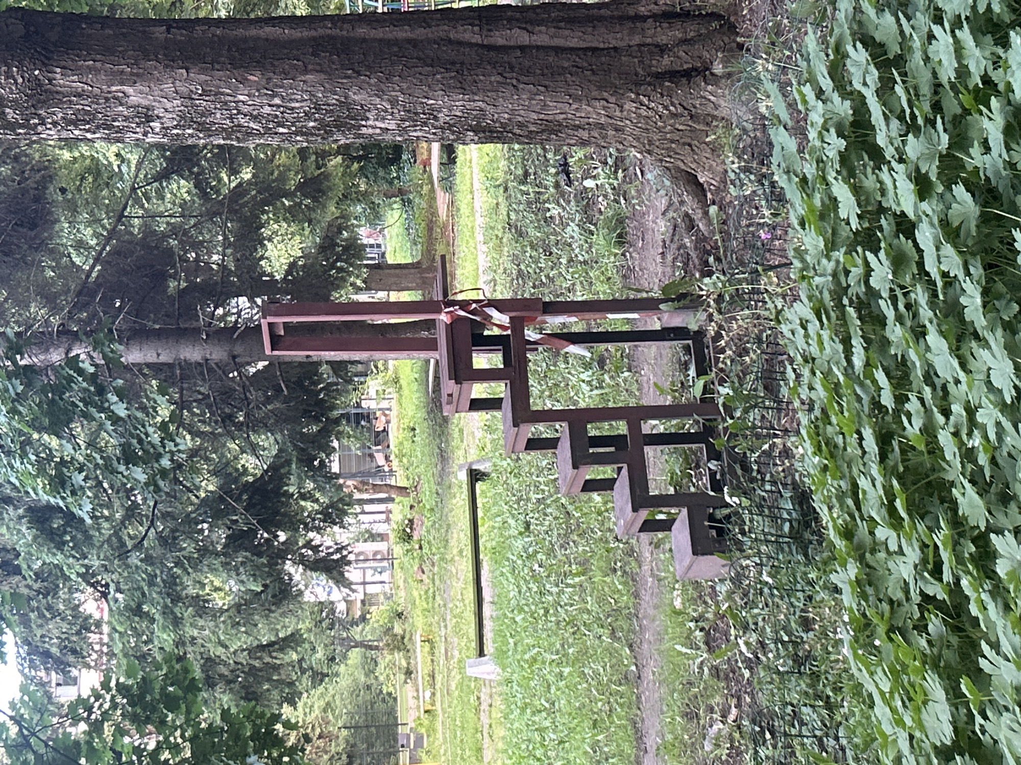 Luxury watch spotted in Sofia park during evening hours