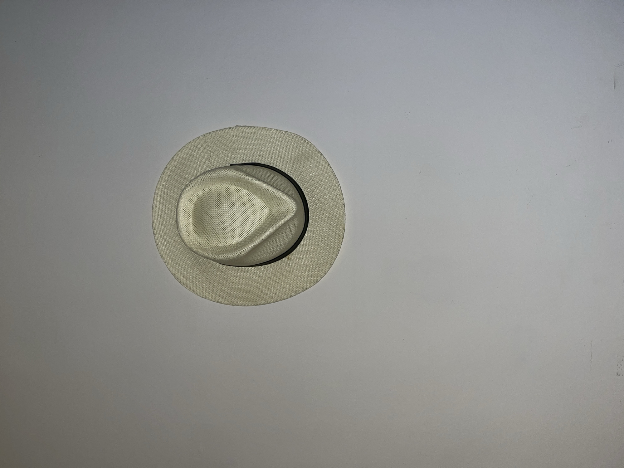 Panama hat observed on surface in Torrent, Spain