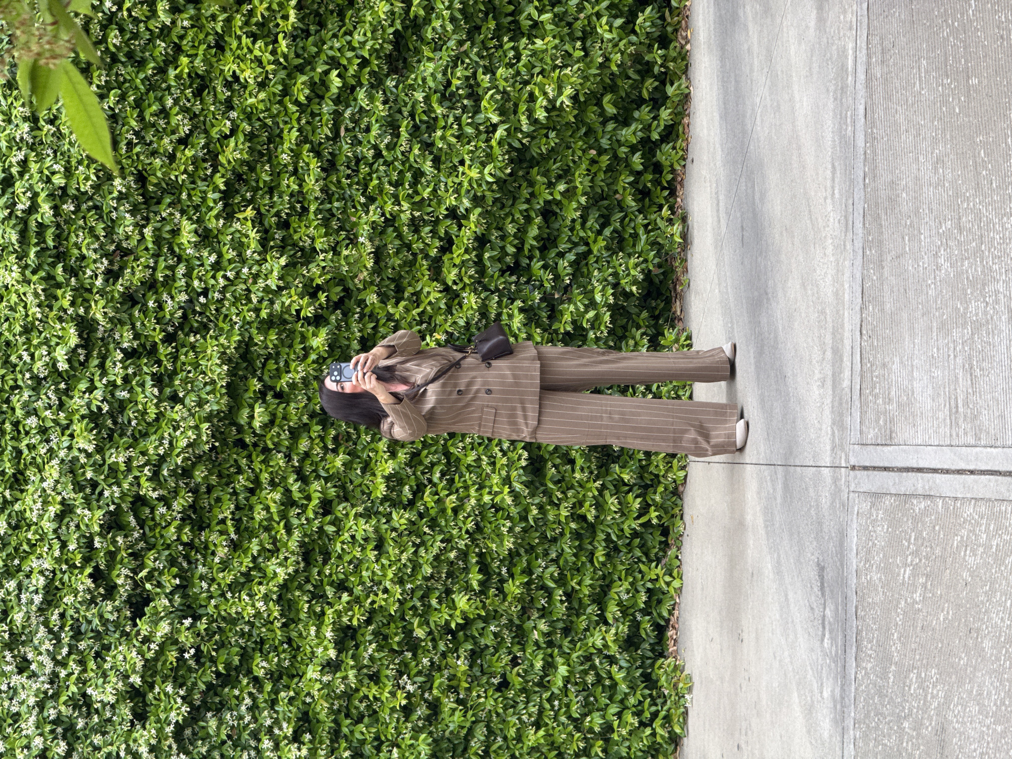 Person spotted beside flowering hedge in Milan sidewalk
