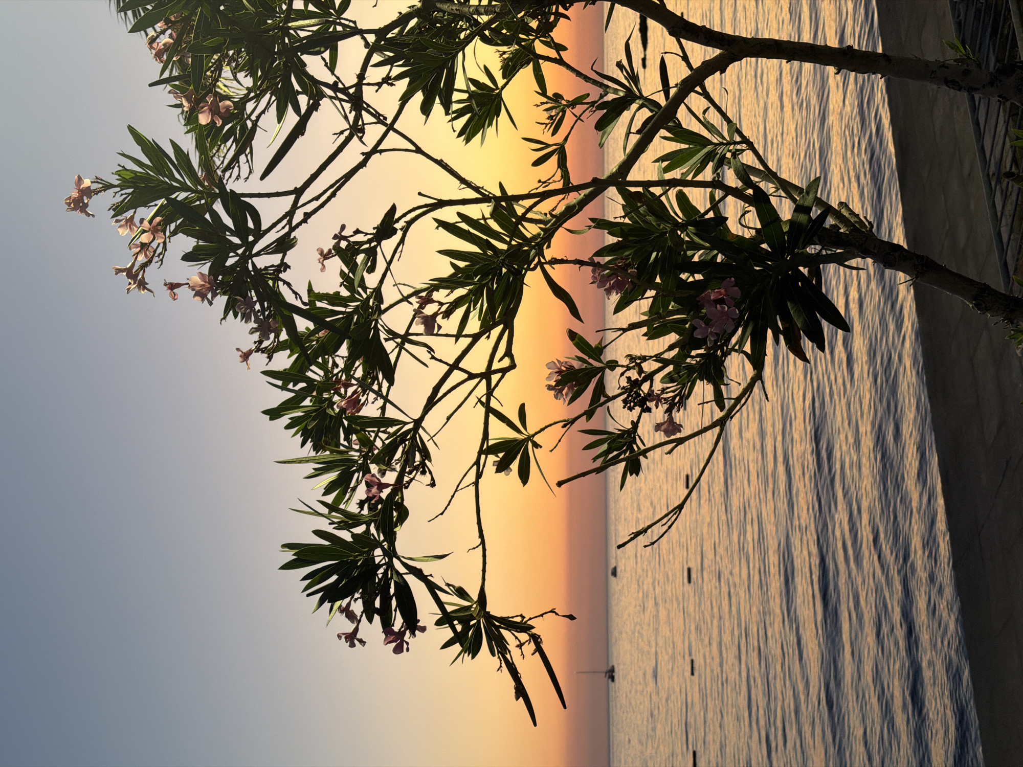 Bar, Montenegro at golden hour and into twilight