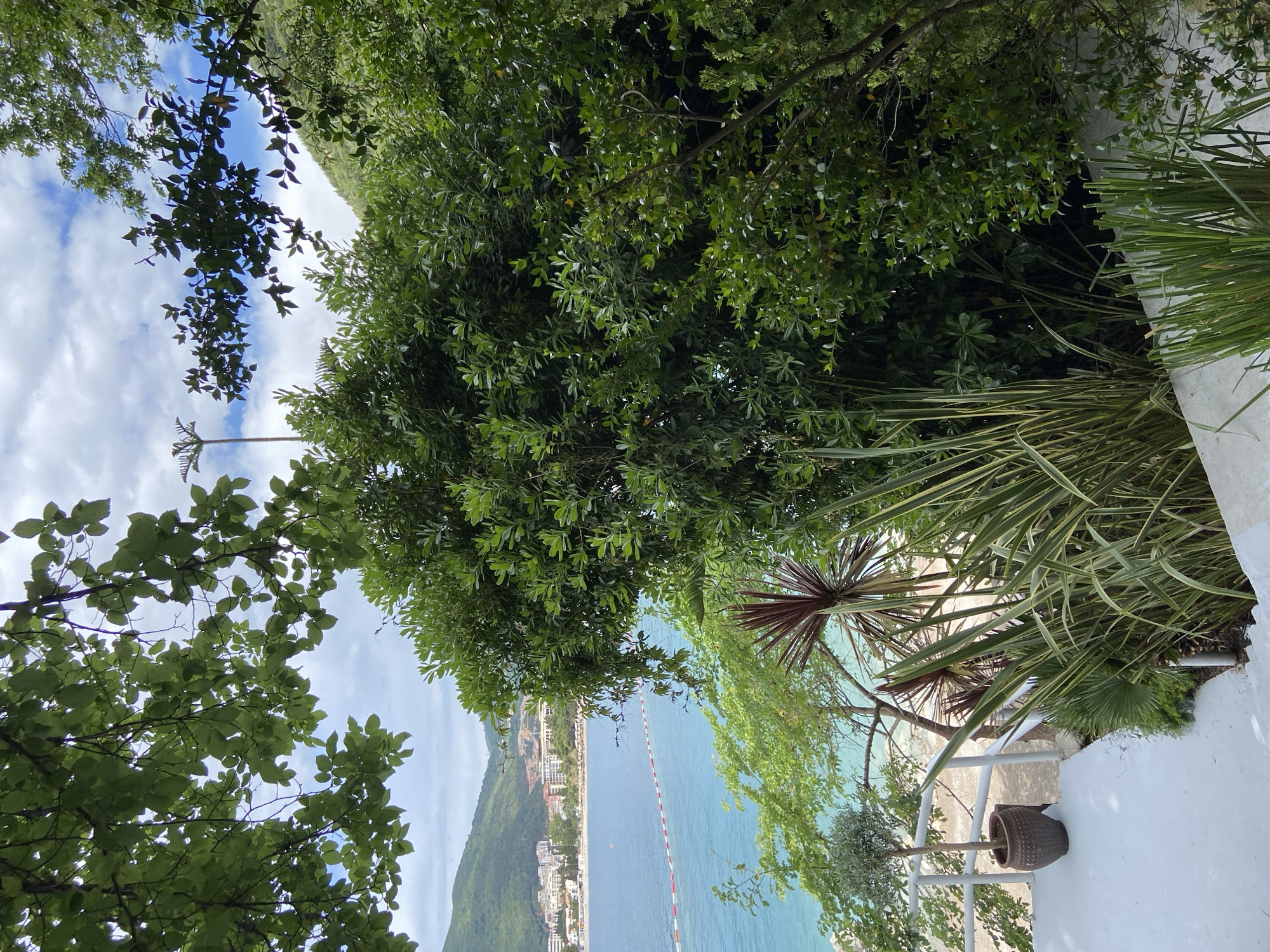 Morning moments captured across Budva's coastline and streets