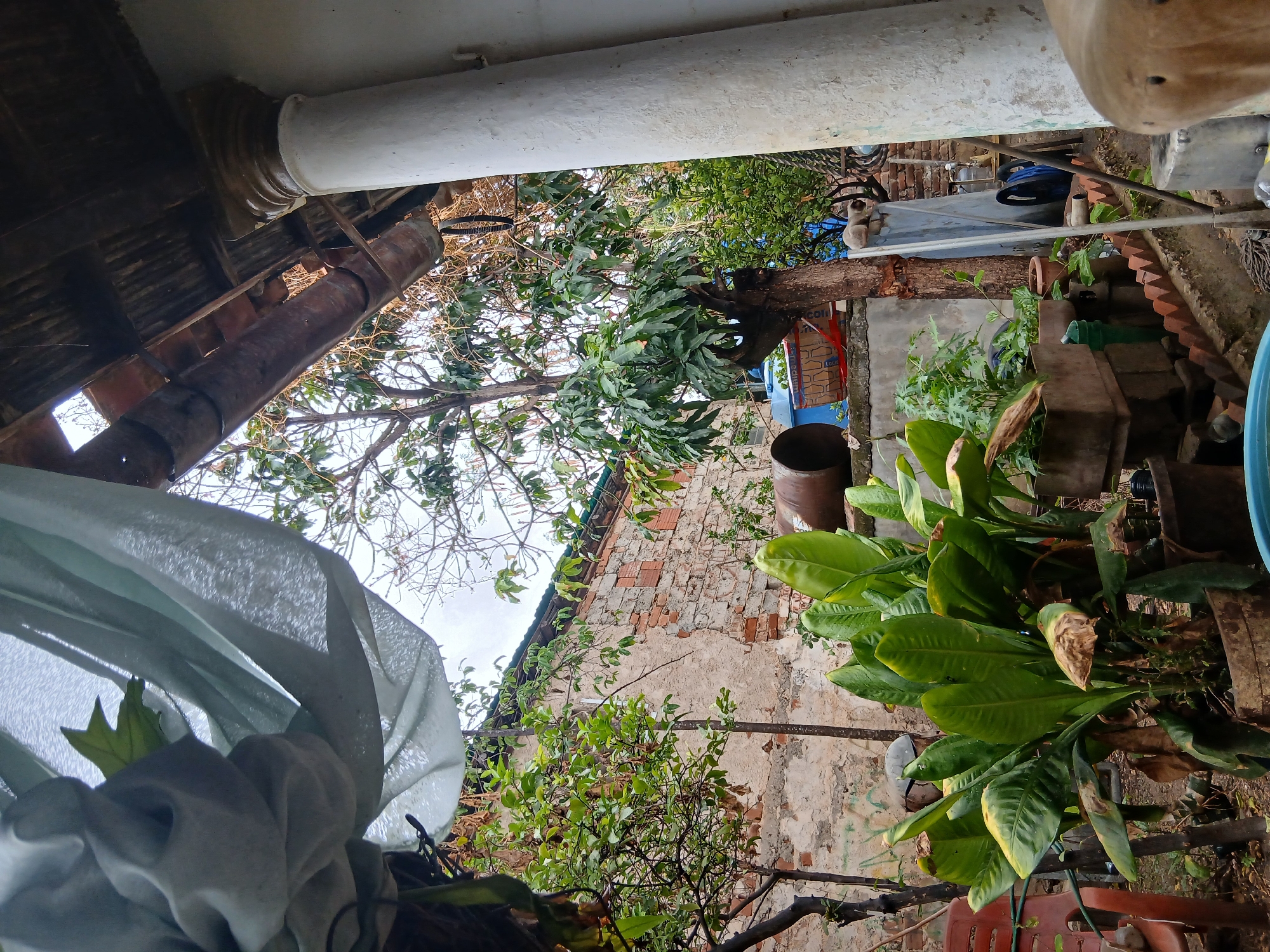 Everyday life documented across two Venezuelan cities during overcast afternoon