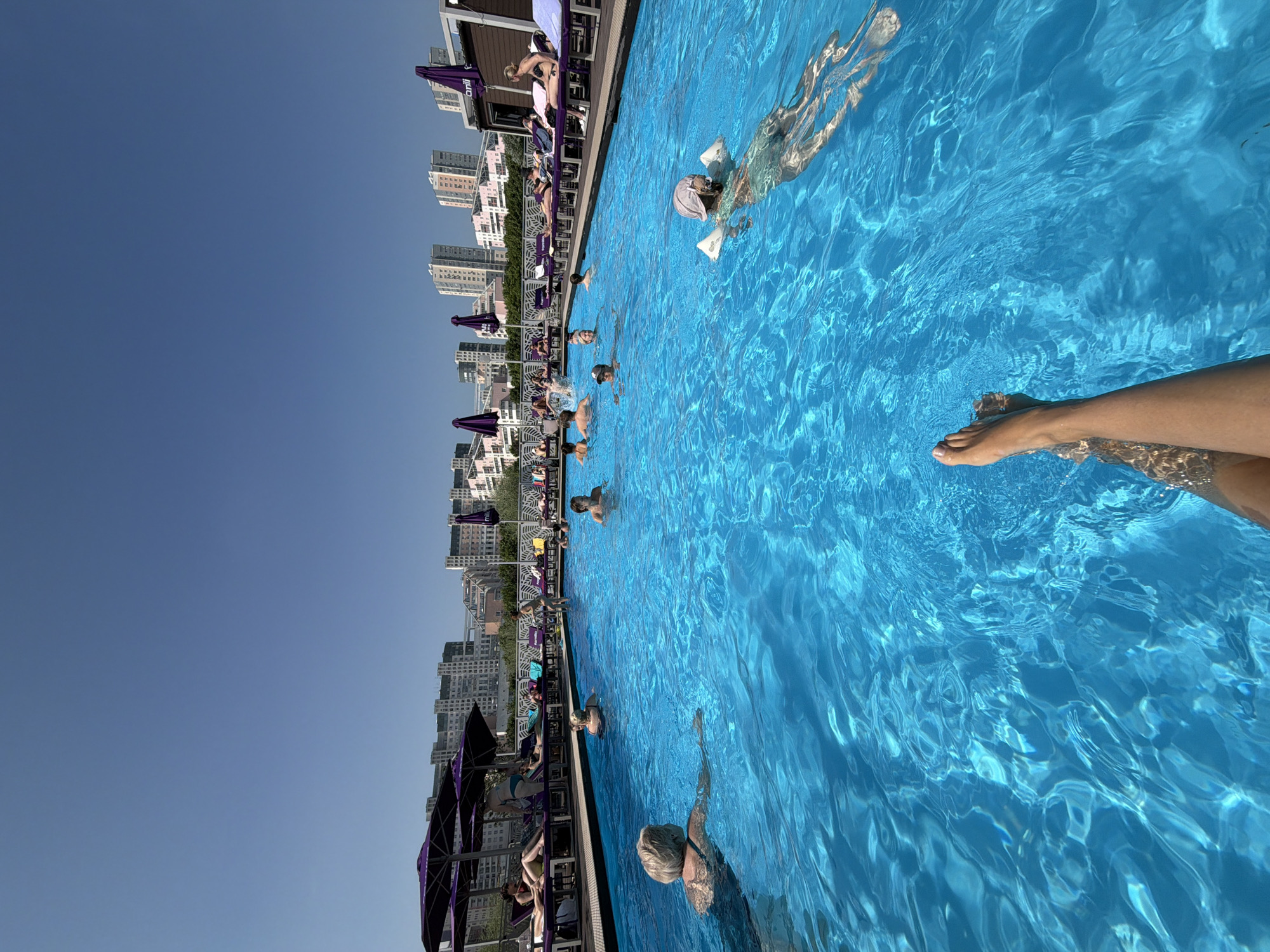 Summer pool day in Khimki, with a pine forest nearby