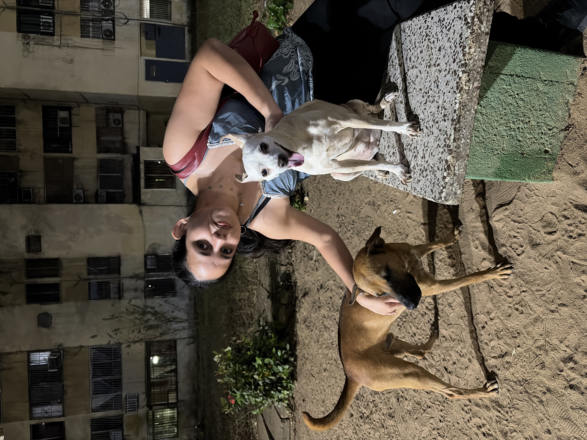 Woman documents nighttime moments with pets in Ciudad Guayana