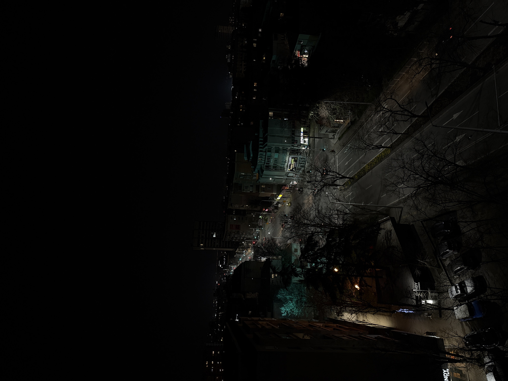 Night cityscape and sleeping dog captured in Stara Zagora