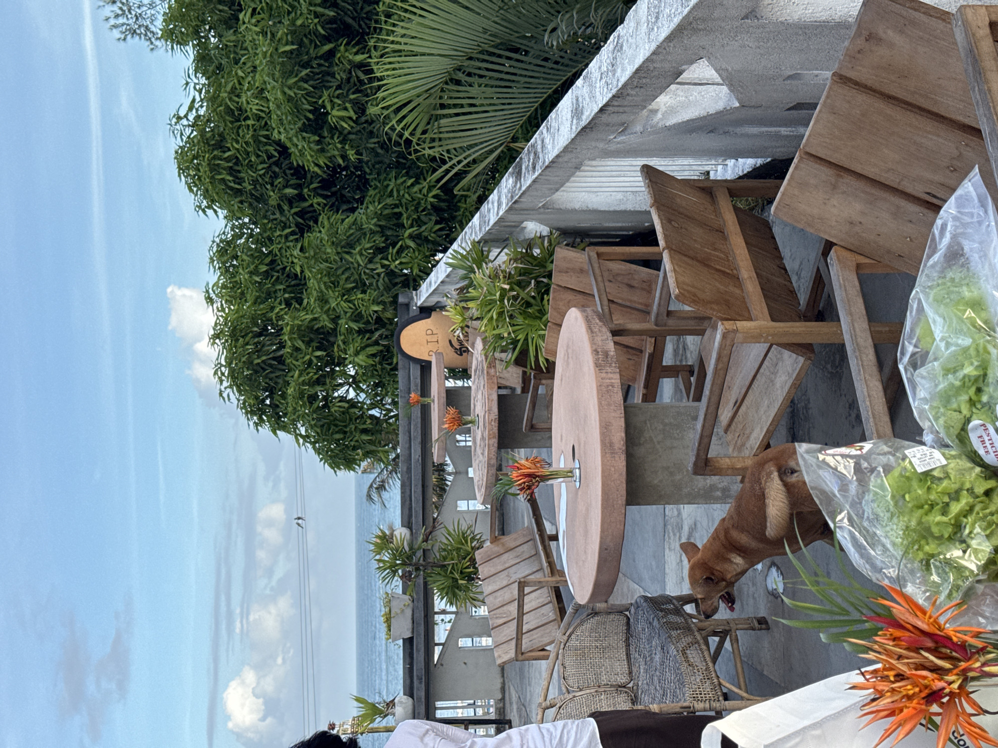 A laid-back afternoon exploring Weligama's coast and rooftops.