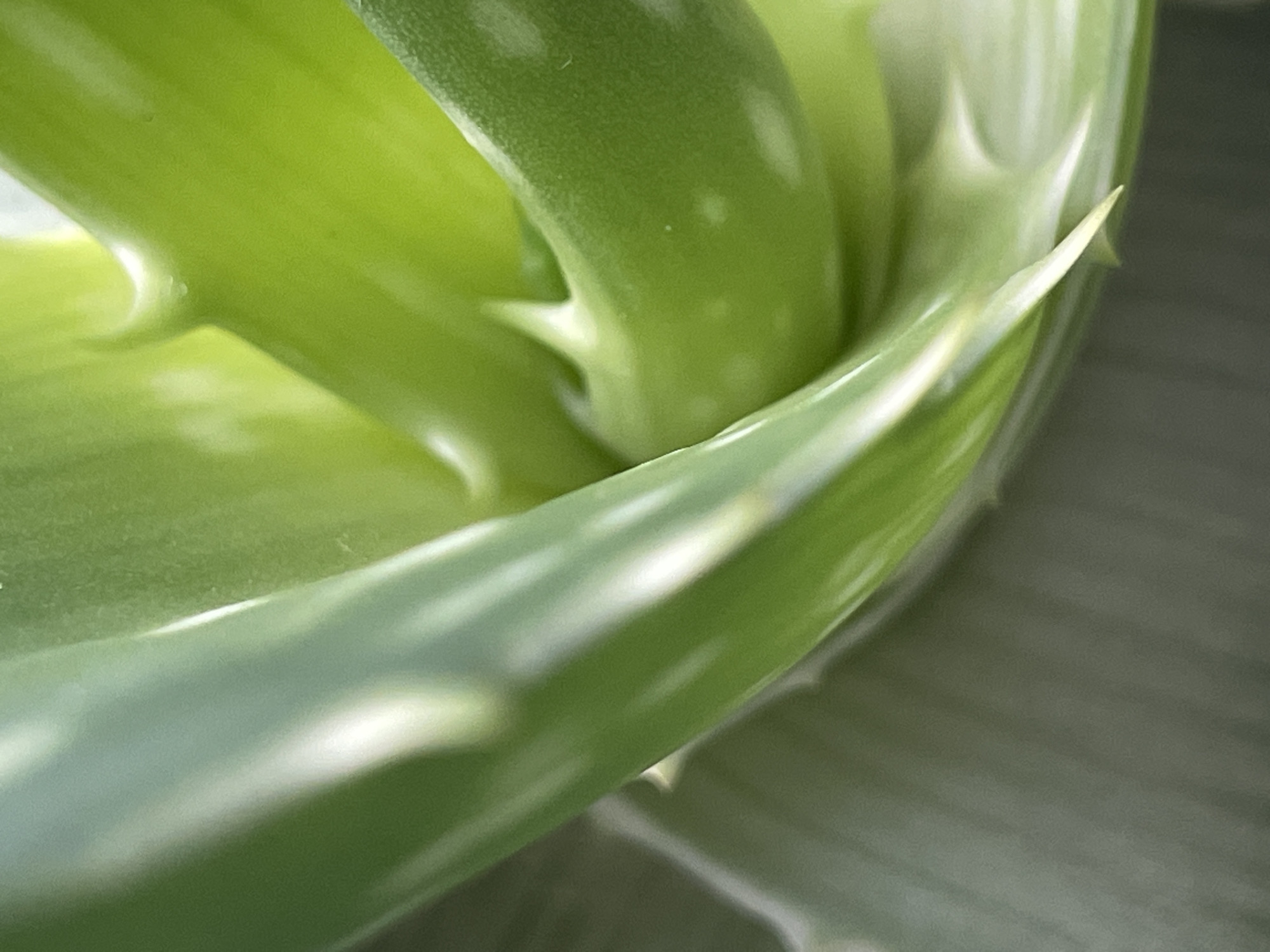 Close-up macro shots of everyday objects and textures in Omsk