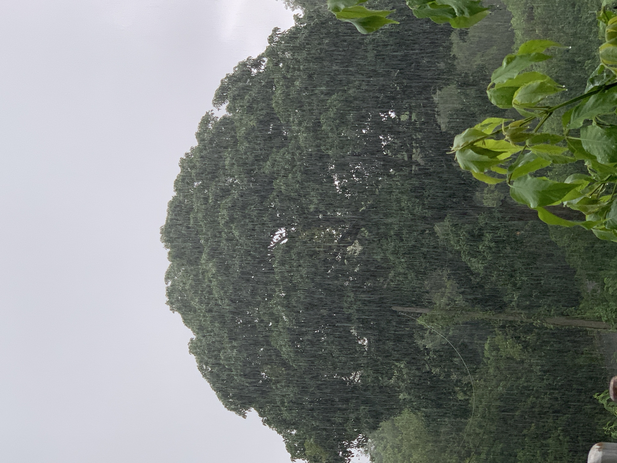 Heavy rainstorm soaks Thai village for nearly two hours