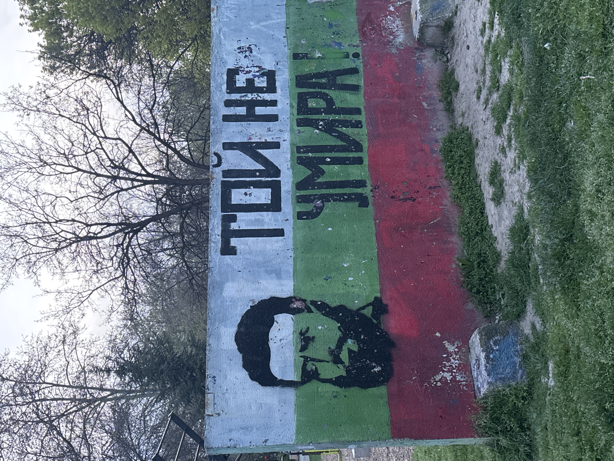 Patriotic graffiti with portrait appears on Plovdiv concrete structure