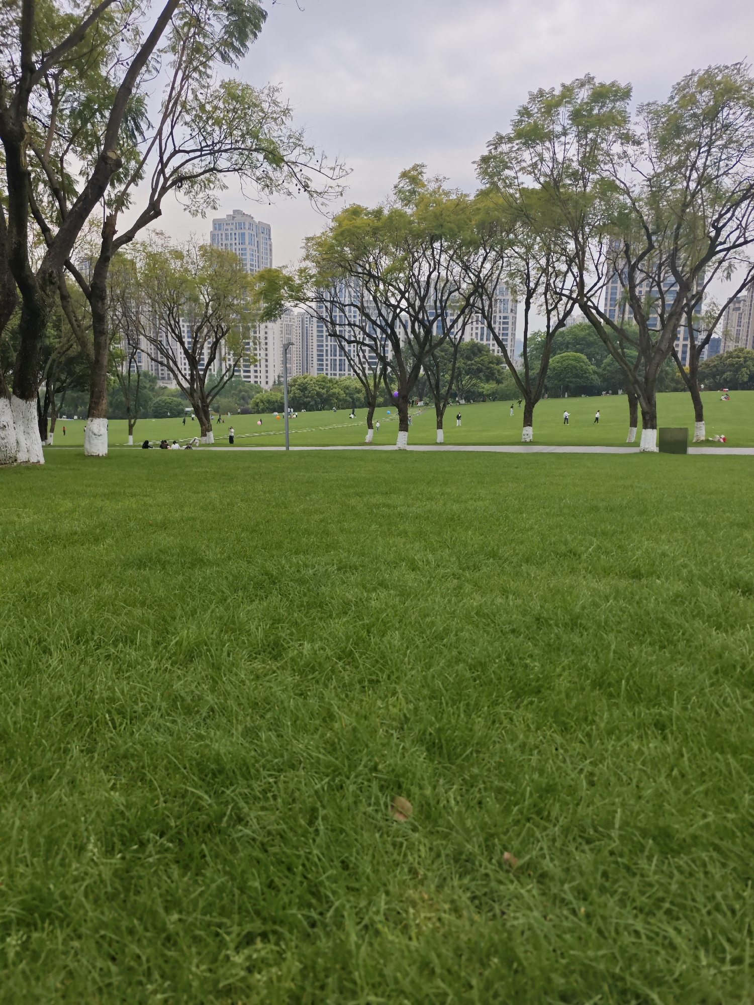 Morning park life documented in Liangjiang, China
