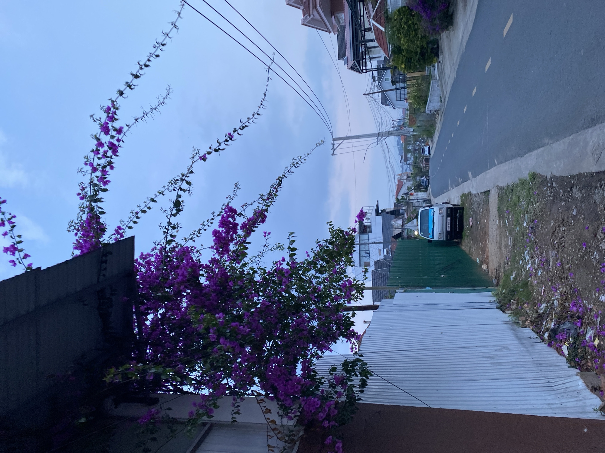Daily life documented across Đà Lạt neighborhoods during morning hours