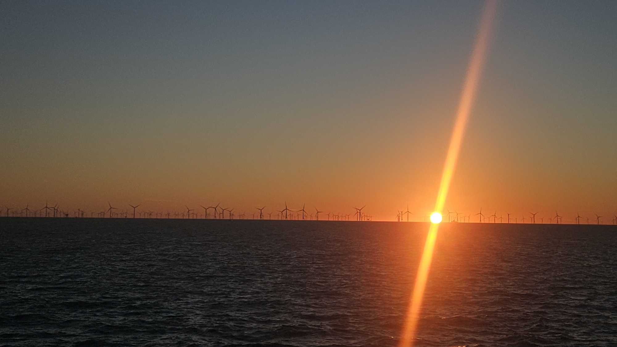 Offshore wind turbines line the horizon at sunset