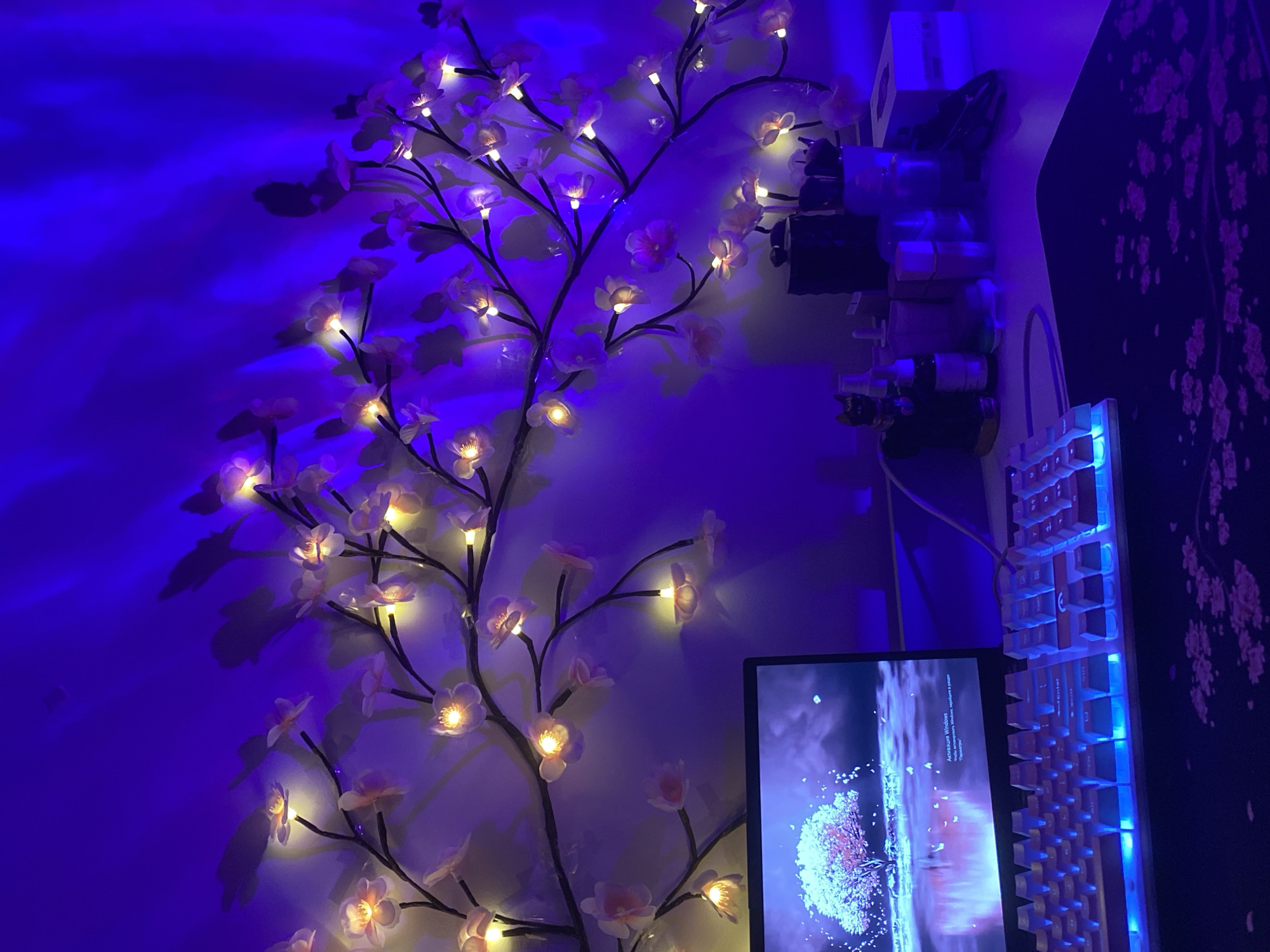 Illuminated artificial plant display observed in Poznan residence