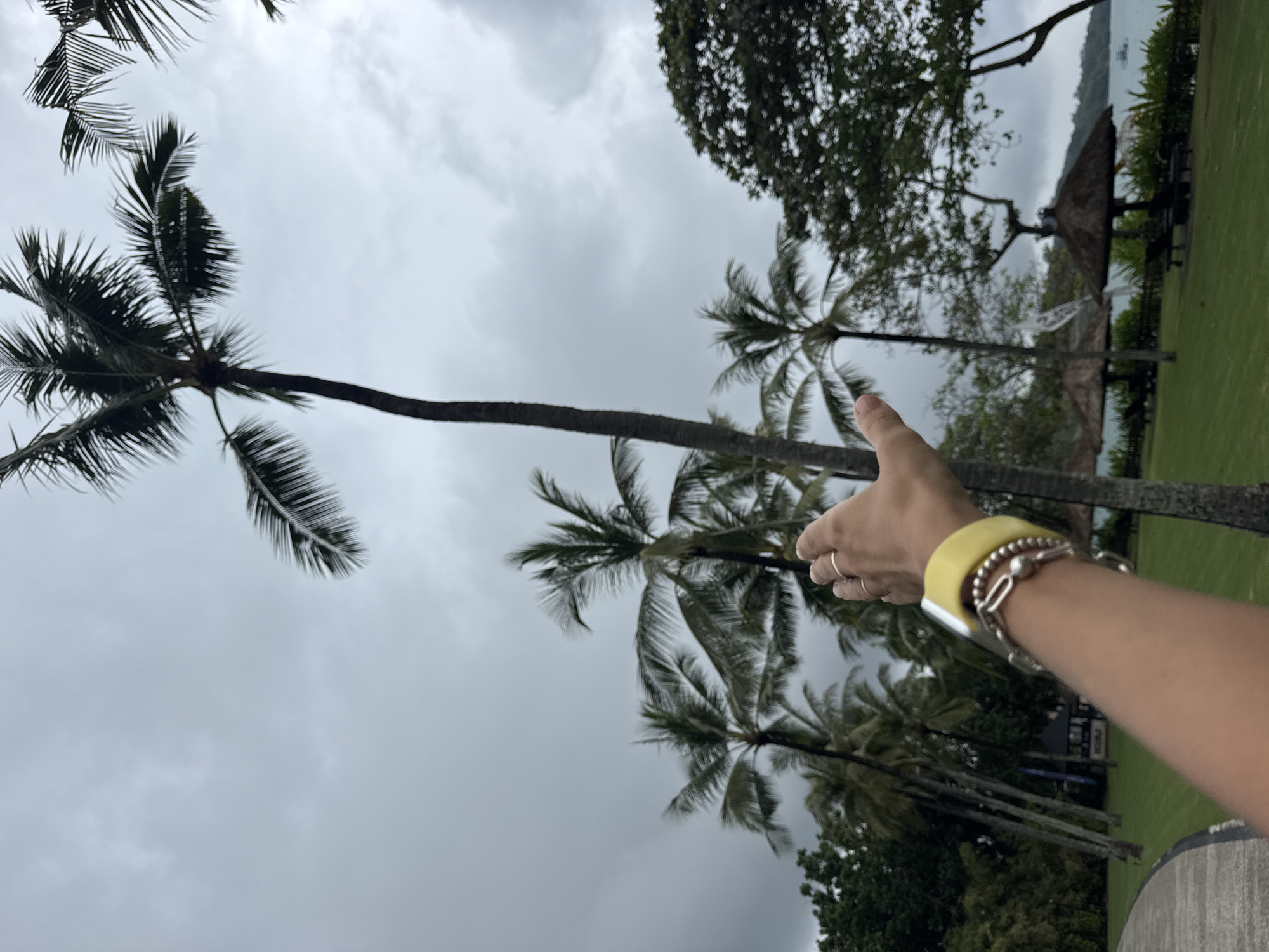 Person explores tropical vegetation in predawn Kuta Selatan