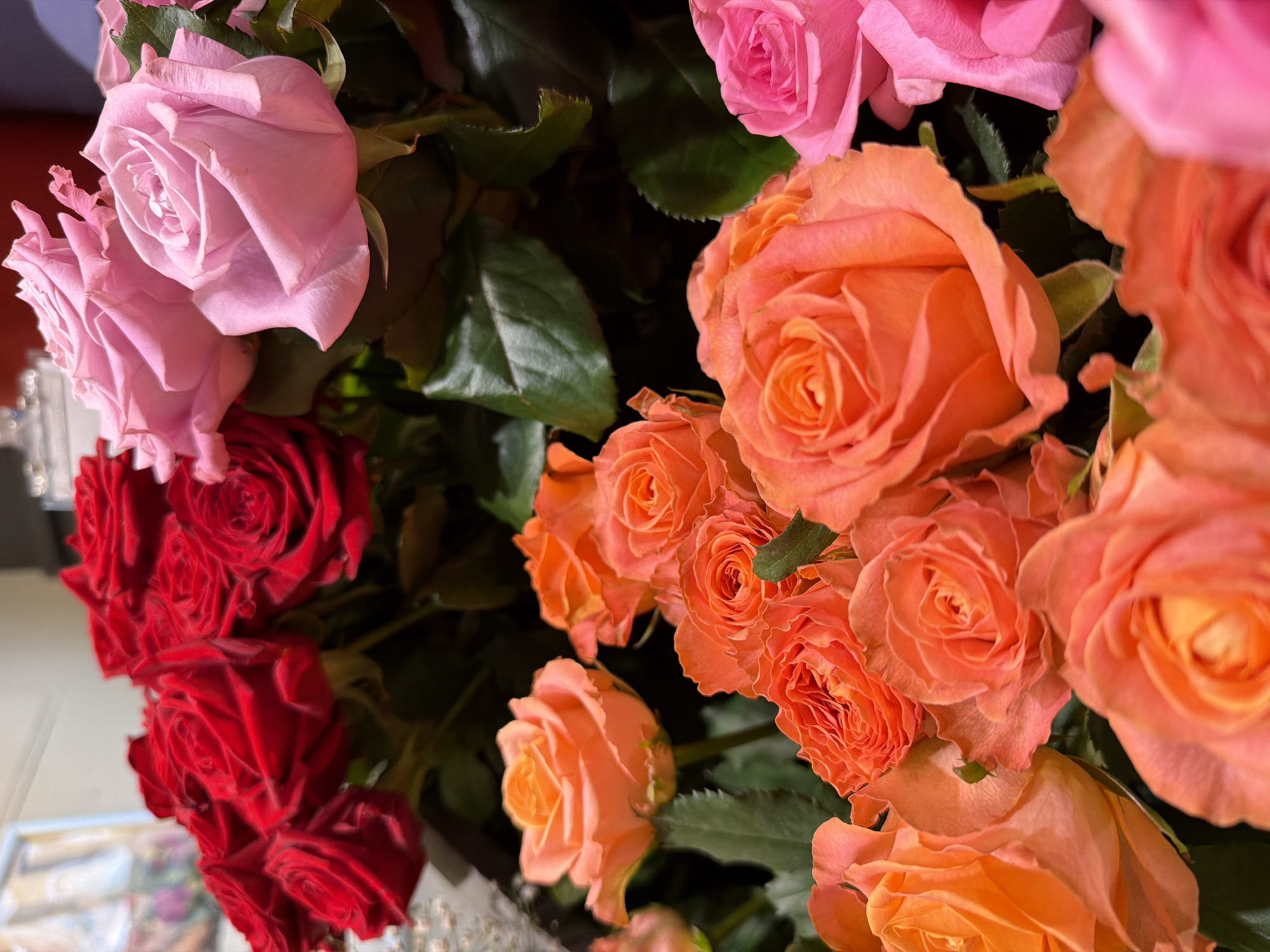 Close-up bouquet shots spanning roses, carnations, and more