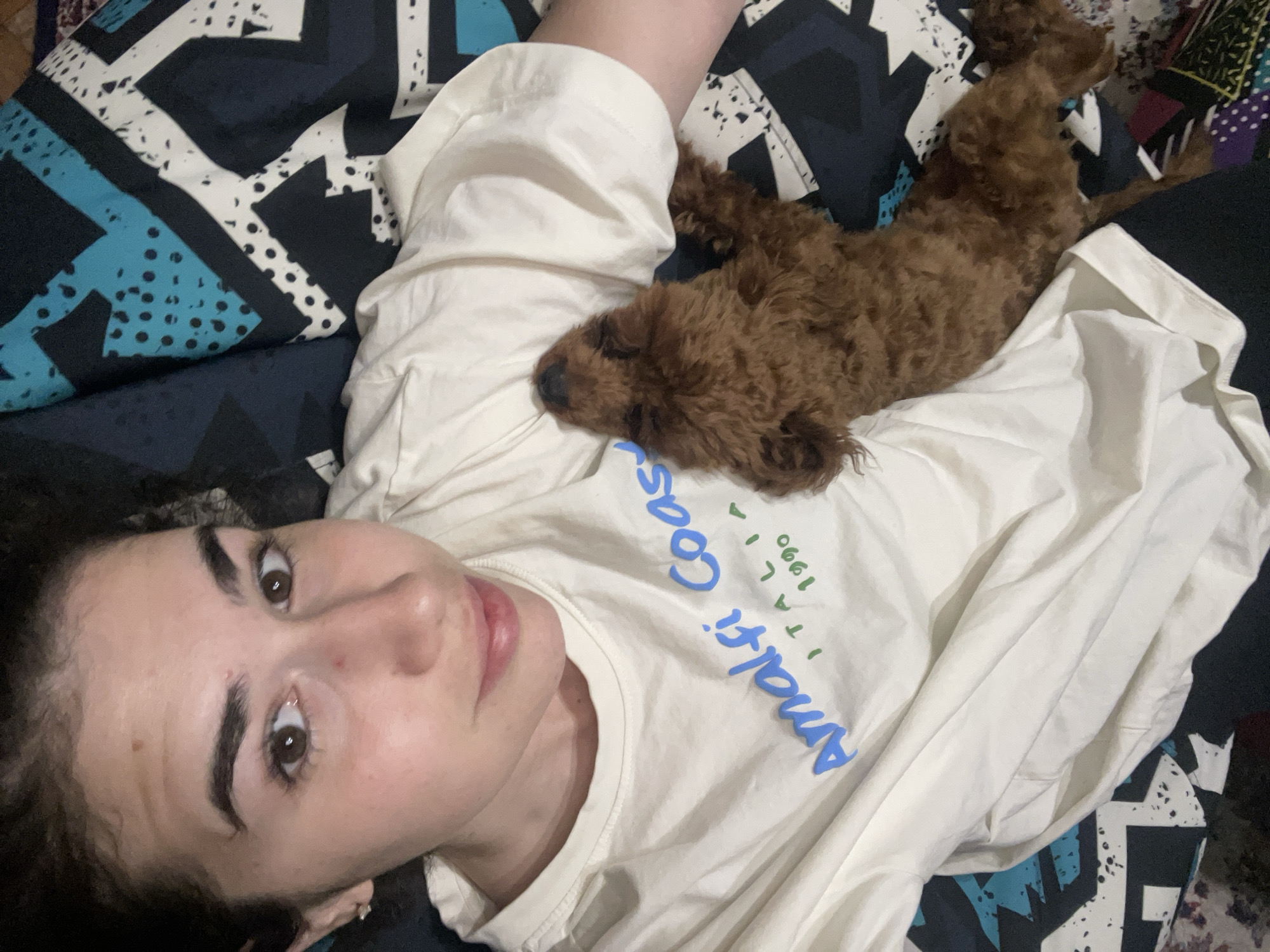 Sunday afternoon cuddles with brown poodle in Sofia apartment