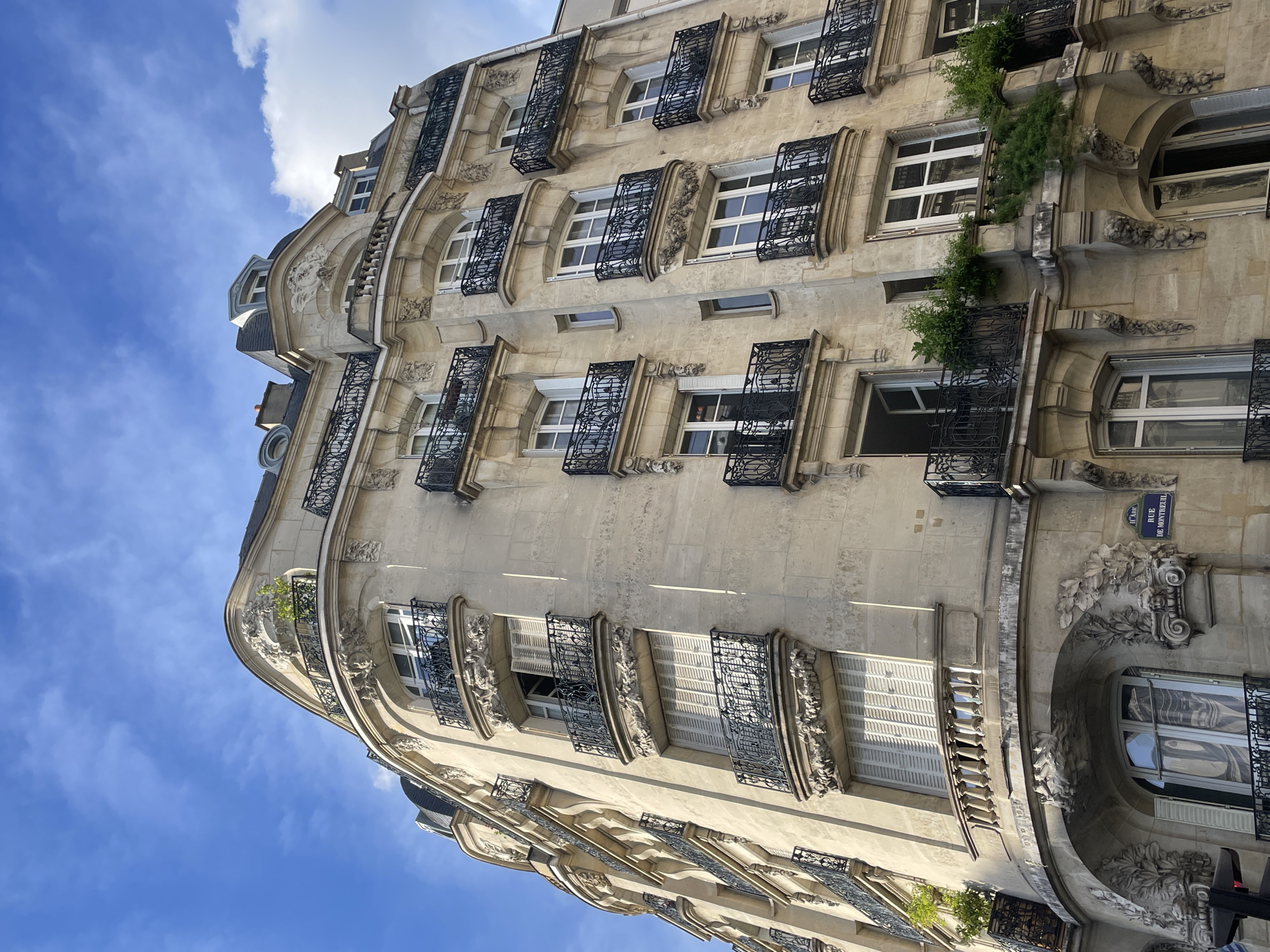 Witness documents sunny afternoon scenes of classic Parisian architecture