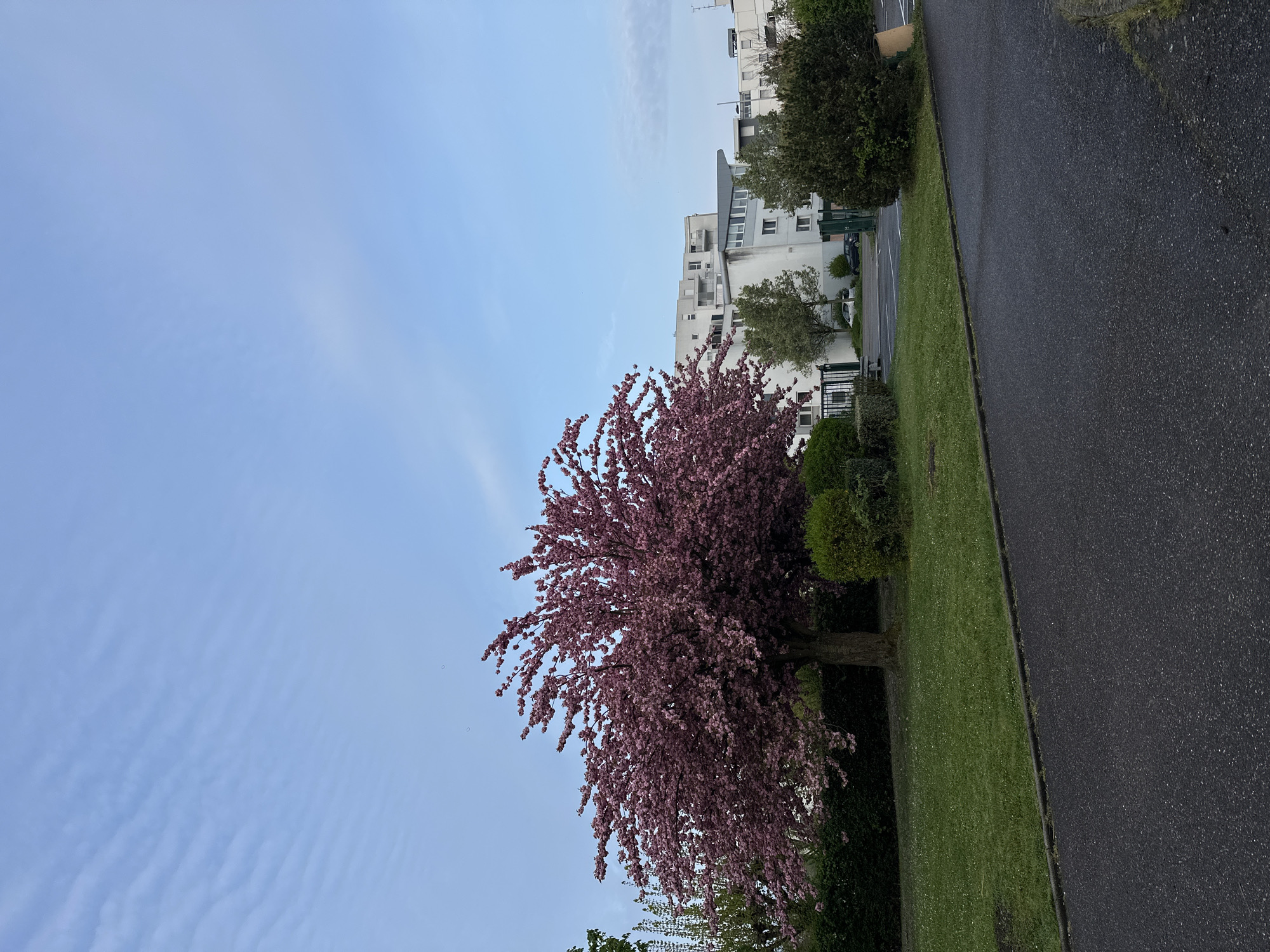 Spring morning street scene documented in Strasbourg, France