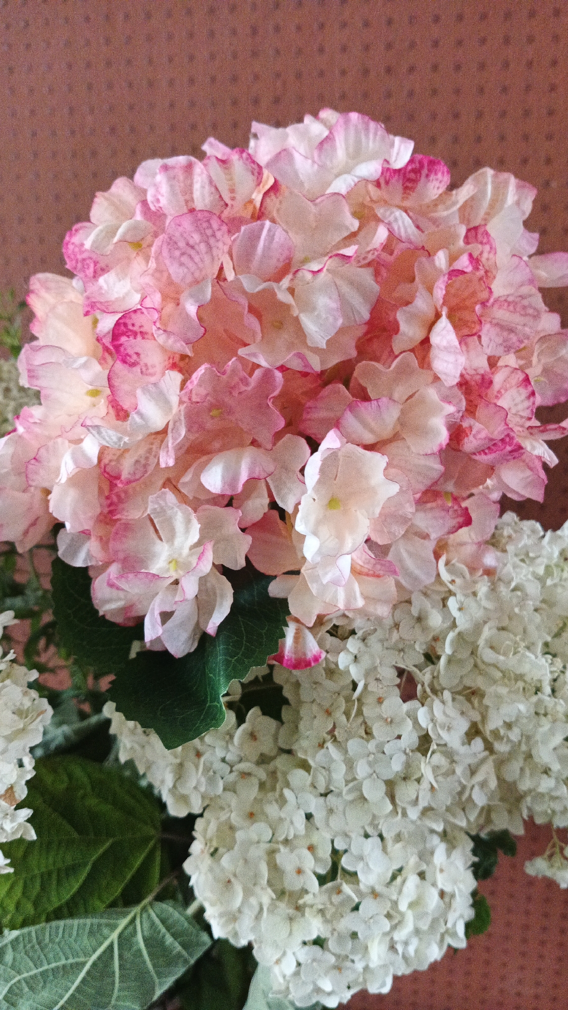 Plants, flowers, and a café patio in Kryvyi Rih