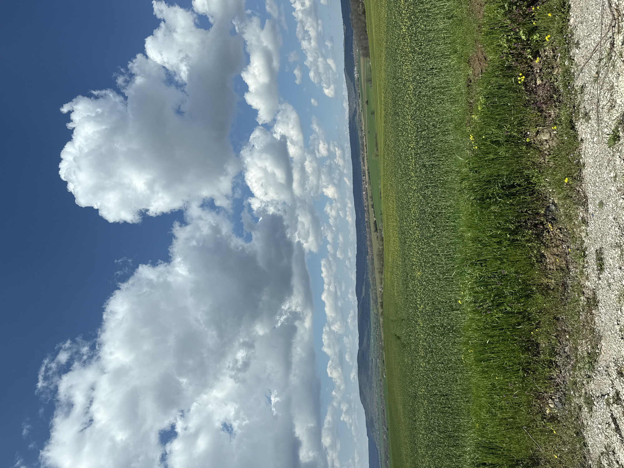 Rural landscape documented in Slavyani, Bulgaria on sunny spring day