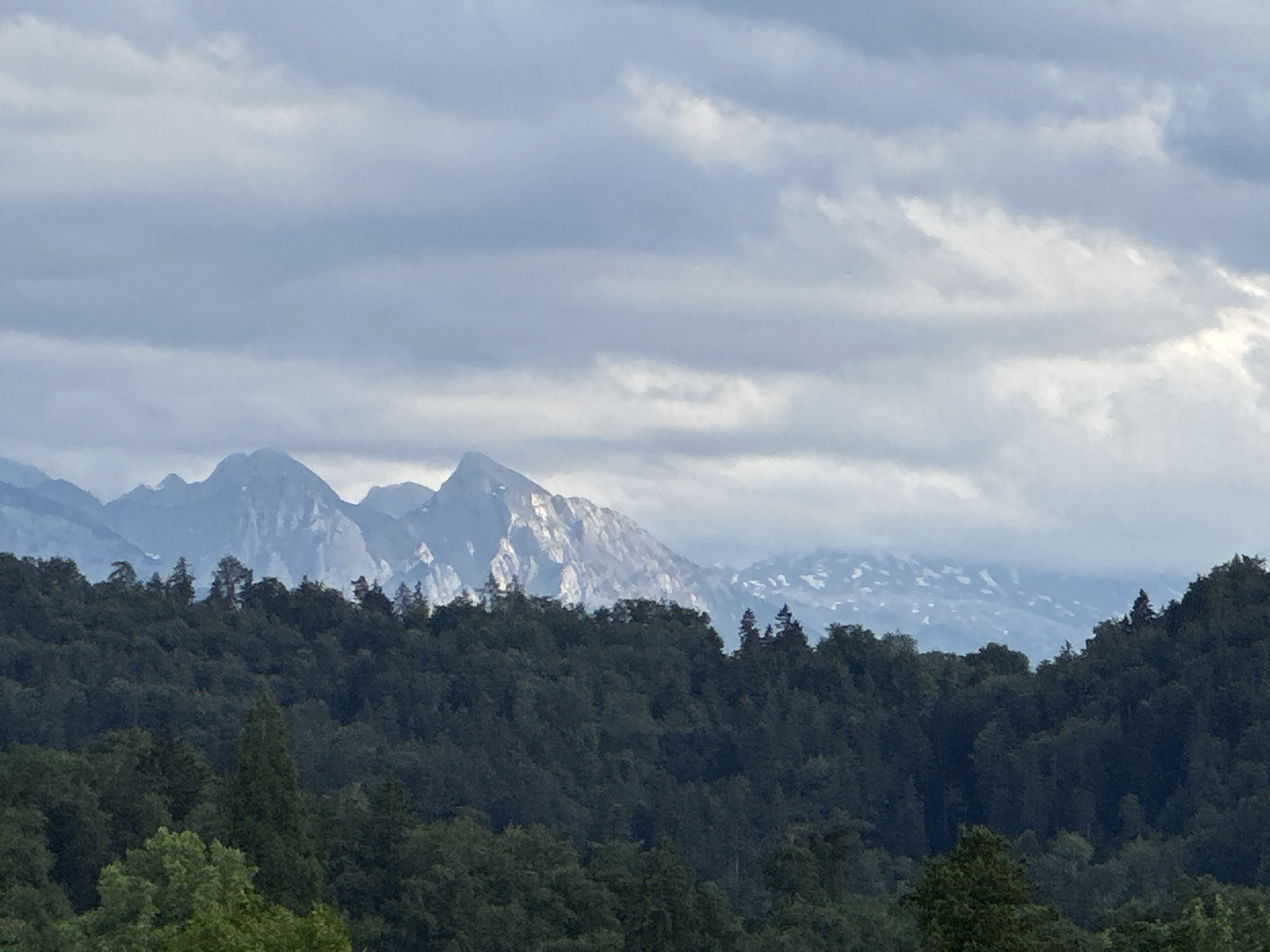 Panoramic Alpine views documented in Wald, Switzerland