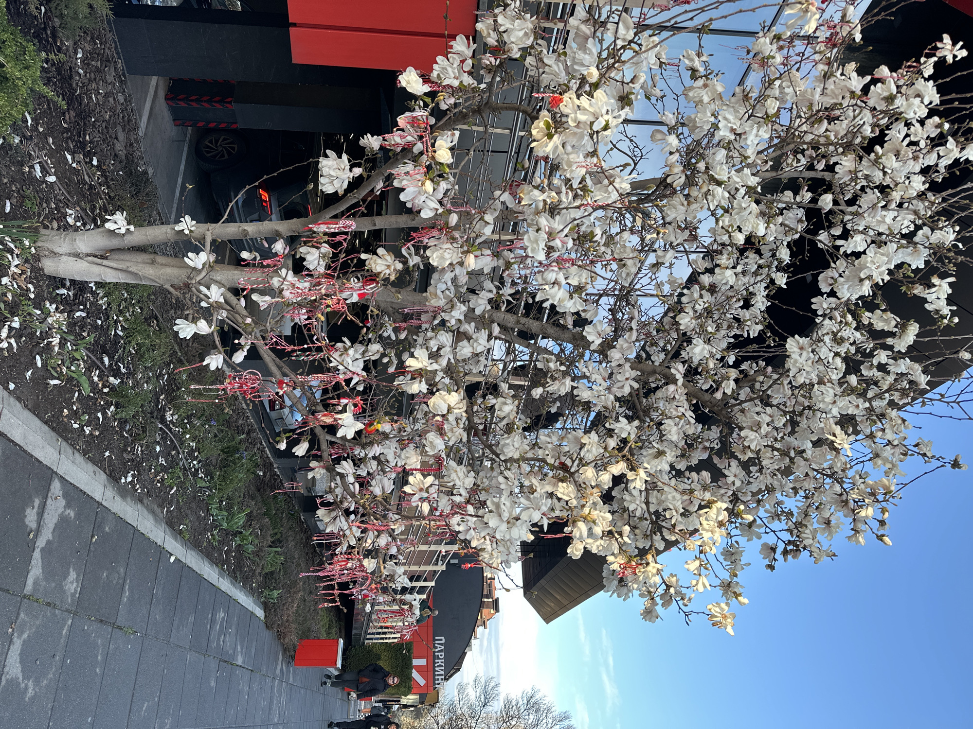 Spring day documented across Sofia with traditional decorations, shopping, street scenes