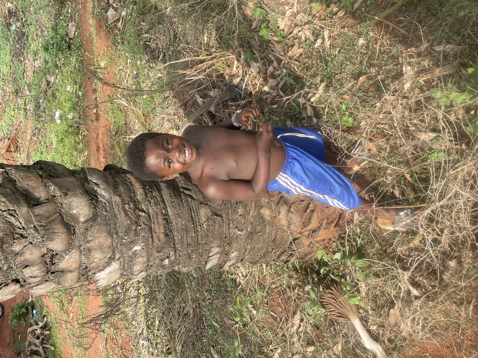 Children play on fallen trees in rural Nigeria