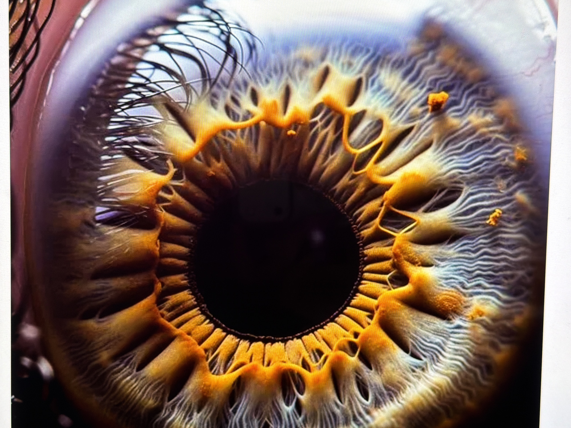 Macro eye photography and beach vibes in North Kuta