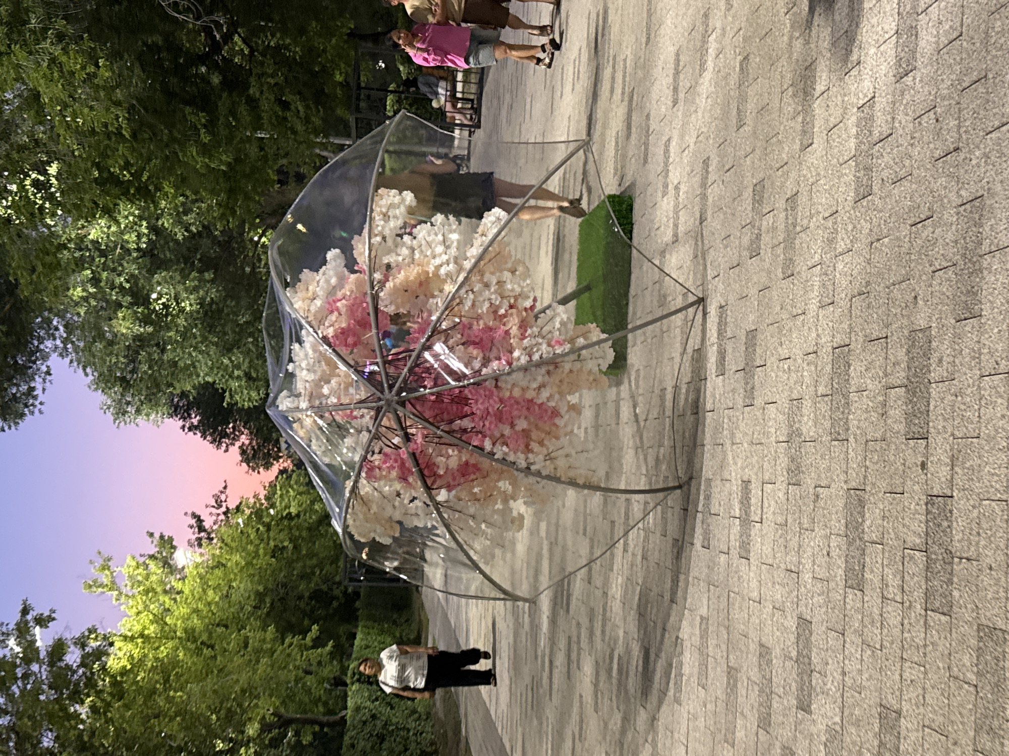 Flower-covered installations light up a Petropavl park at dusk