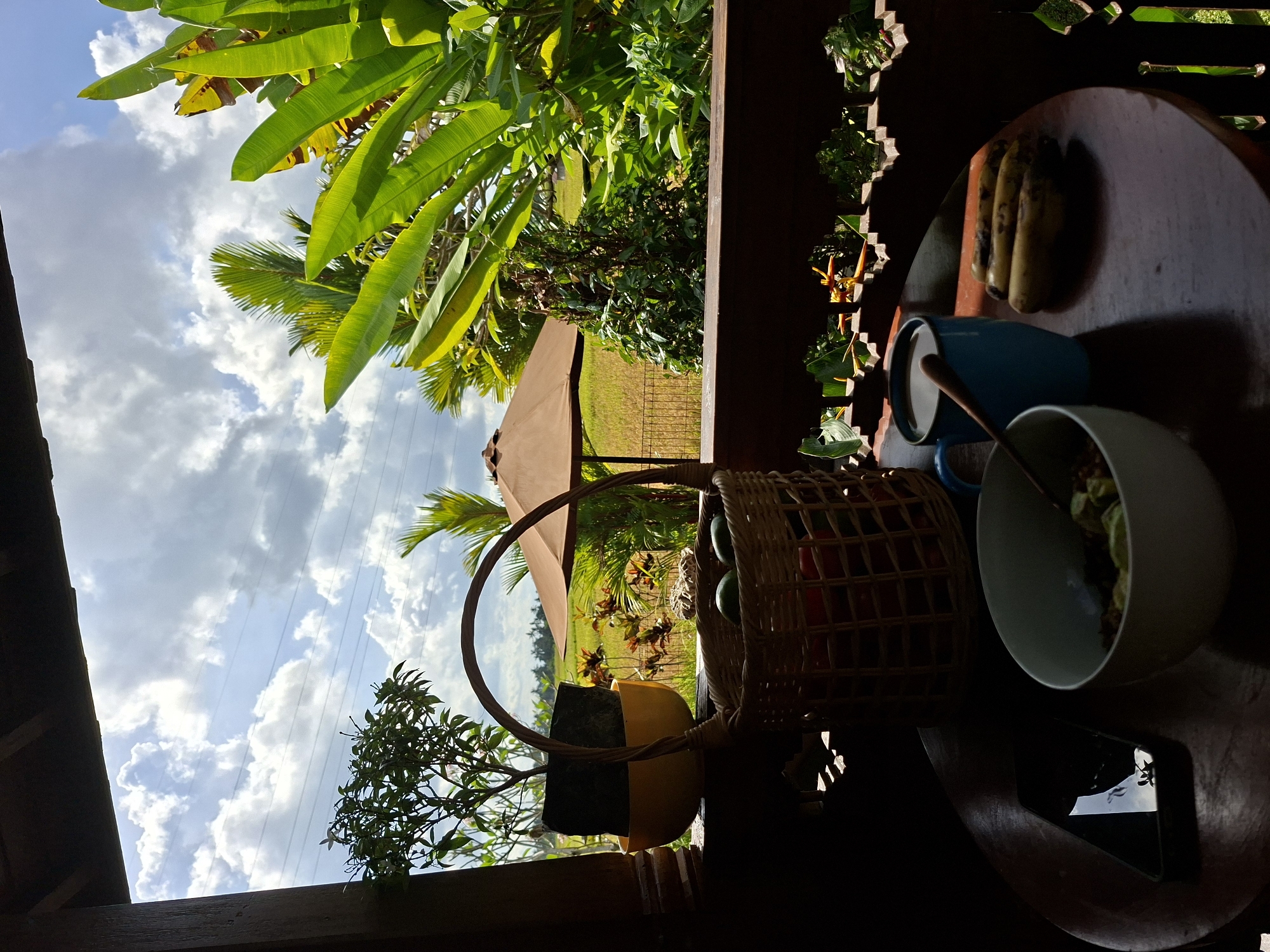 Morning breakfast scene with overripe bananas documented in Ubud